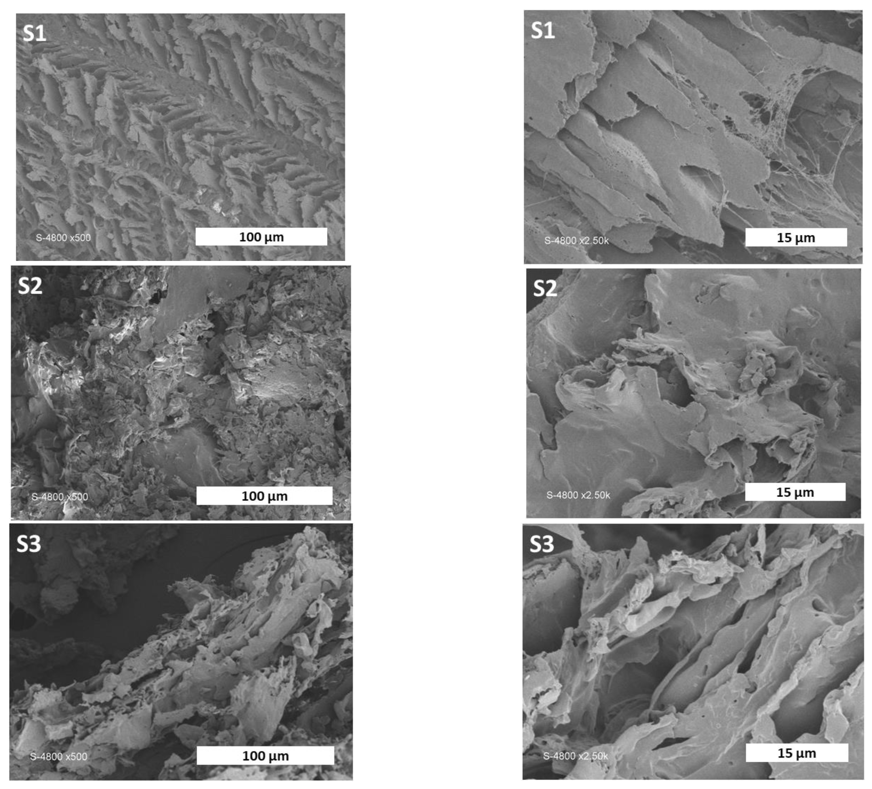 Pharmaceutics 15 01270 g005a Pharmaceutics 15 01270 g005a