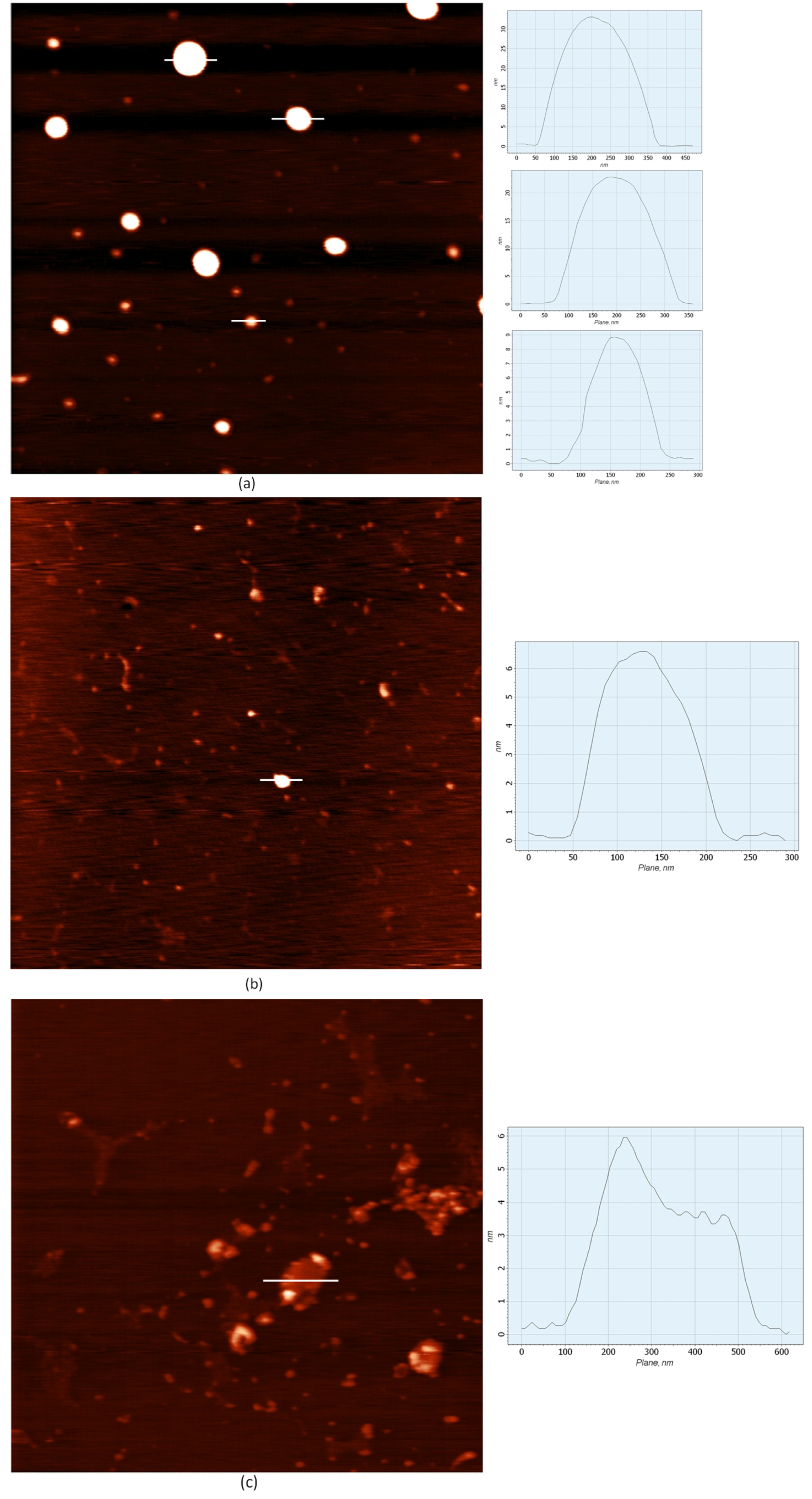Pharmaceutics 15 01289 g002 Pharmaceutics 15 01289 g002