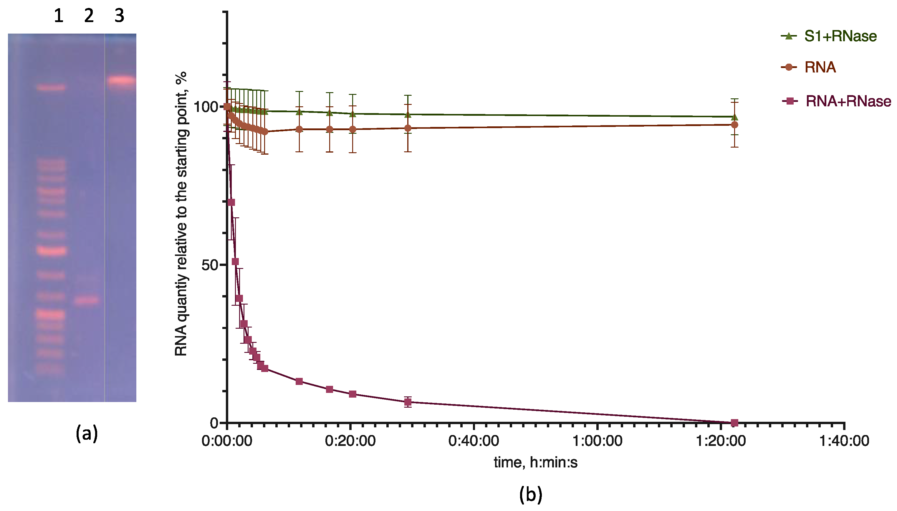 Pharmaceutics 15 01289 g003 Pharmaceutics 15 01289 g003