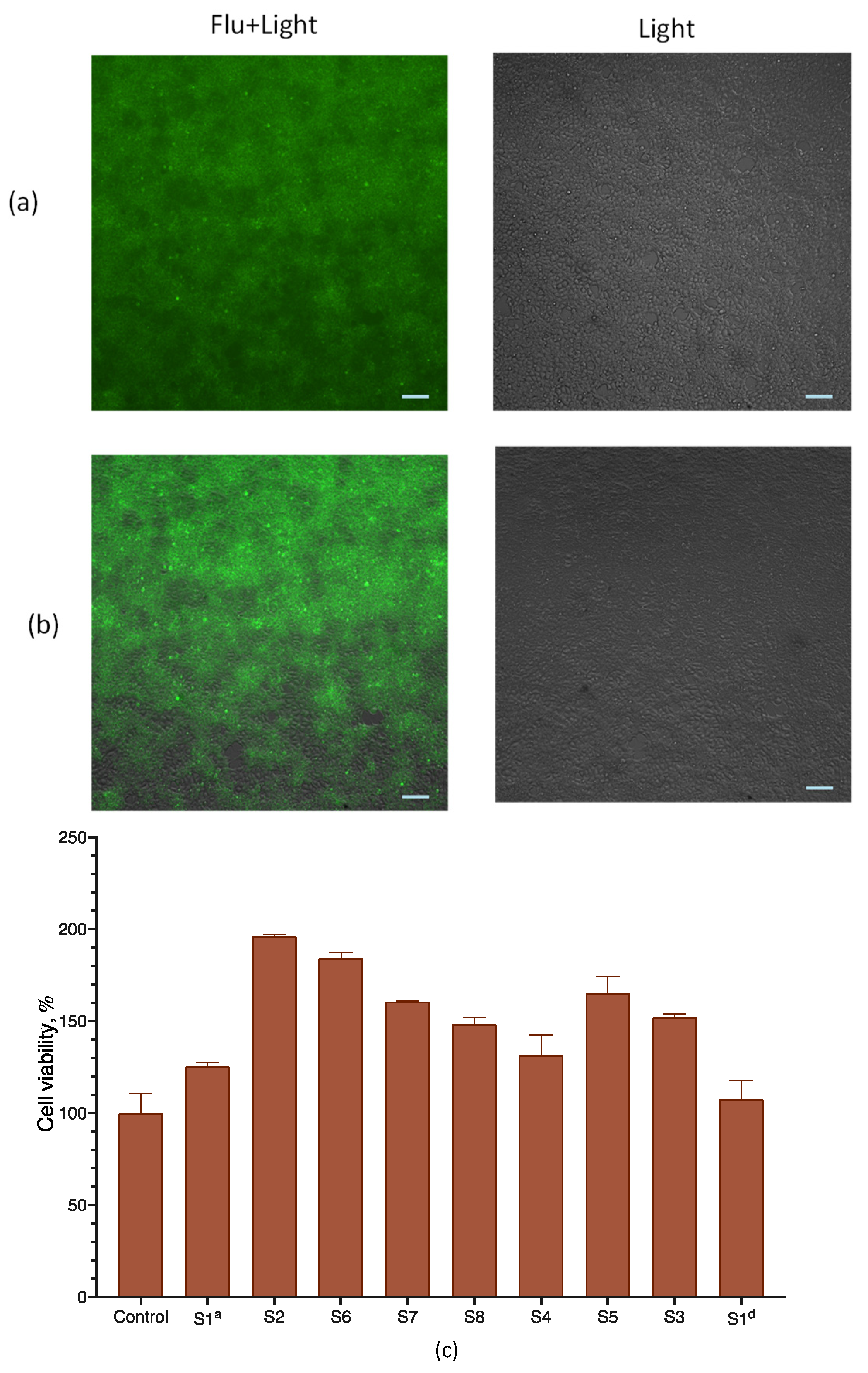 Pharmaceutics 15 01289 g005 Pharmaceutics 15 01289 g005