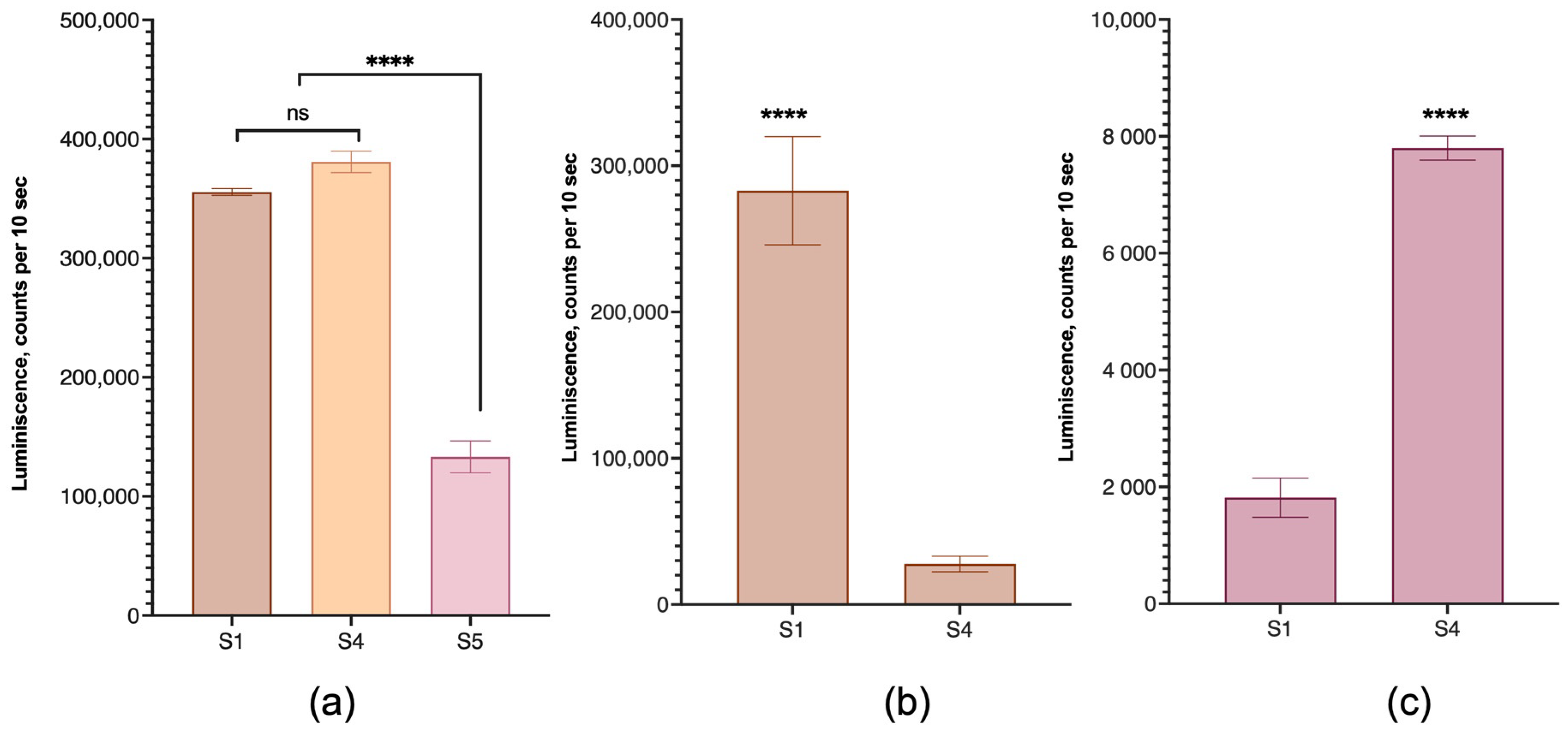 Pharmaceutics 15 01289 g009 Pharmaceutics 15 01289 g009