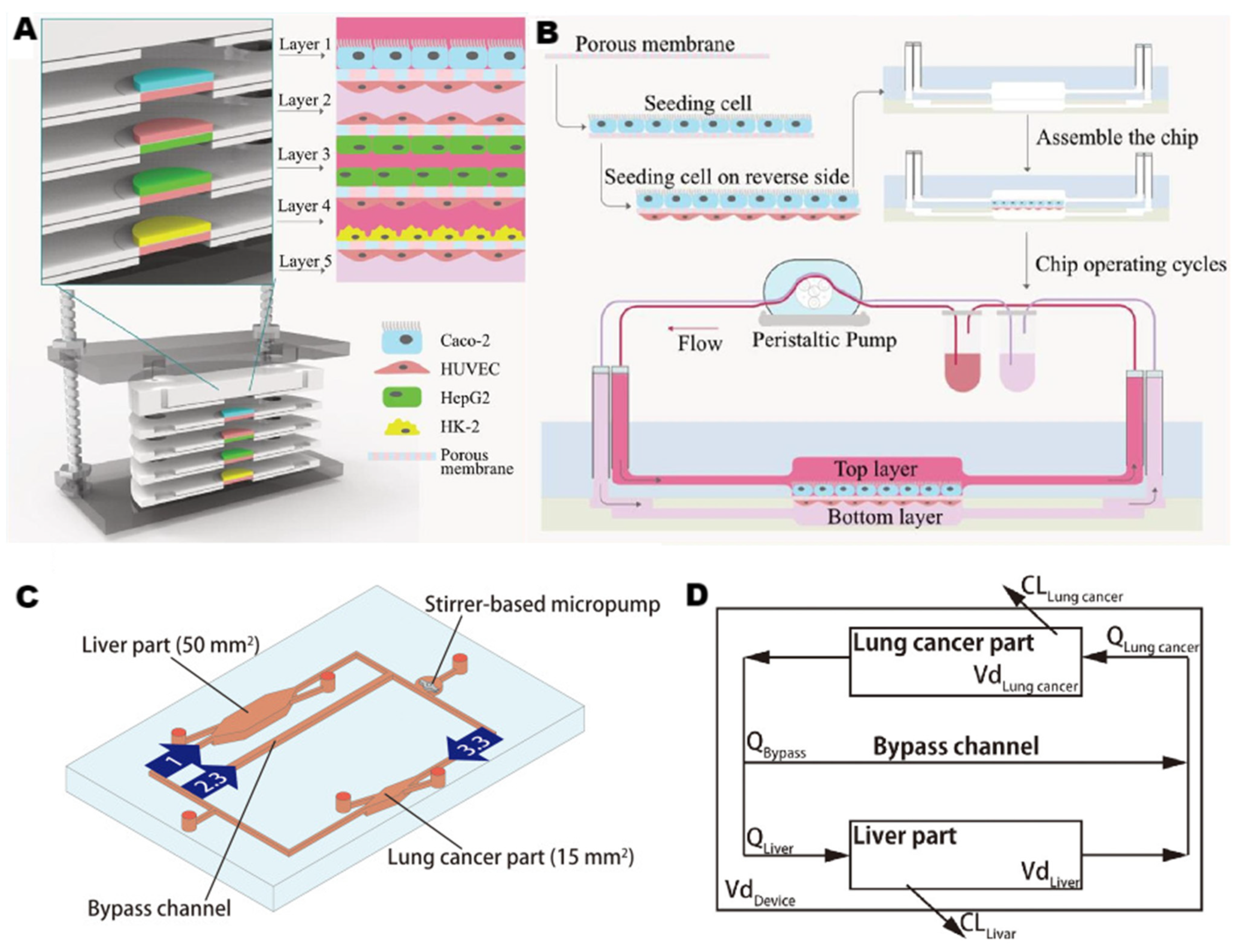 Pharmaceutics 15 01300 g004 Pharmaceutics 15 01300 g004