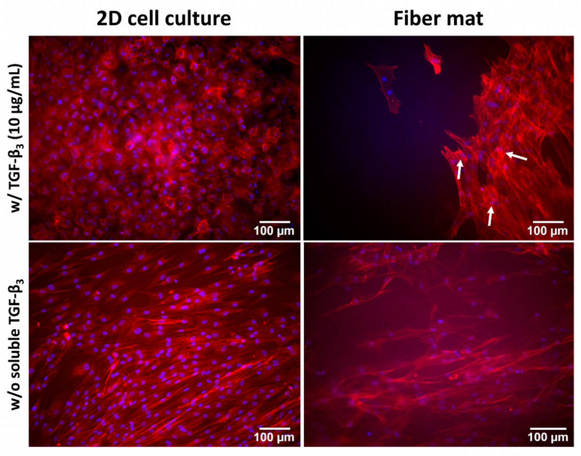 Pharmaceutics 15 01303 g005