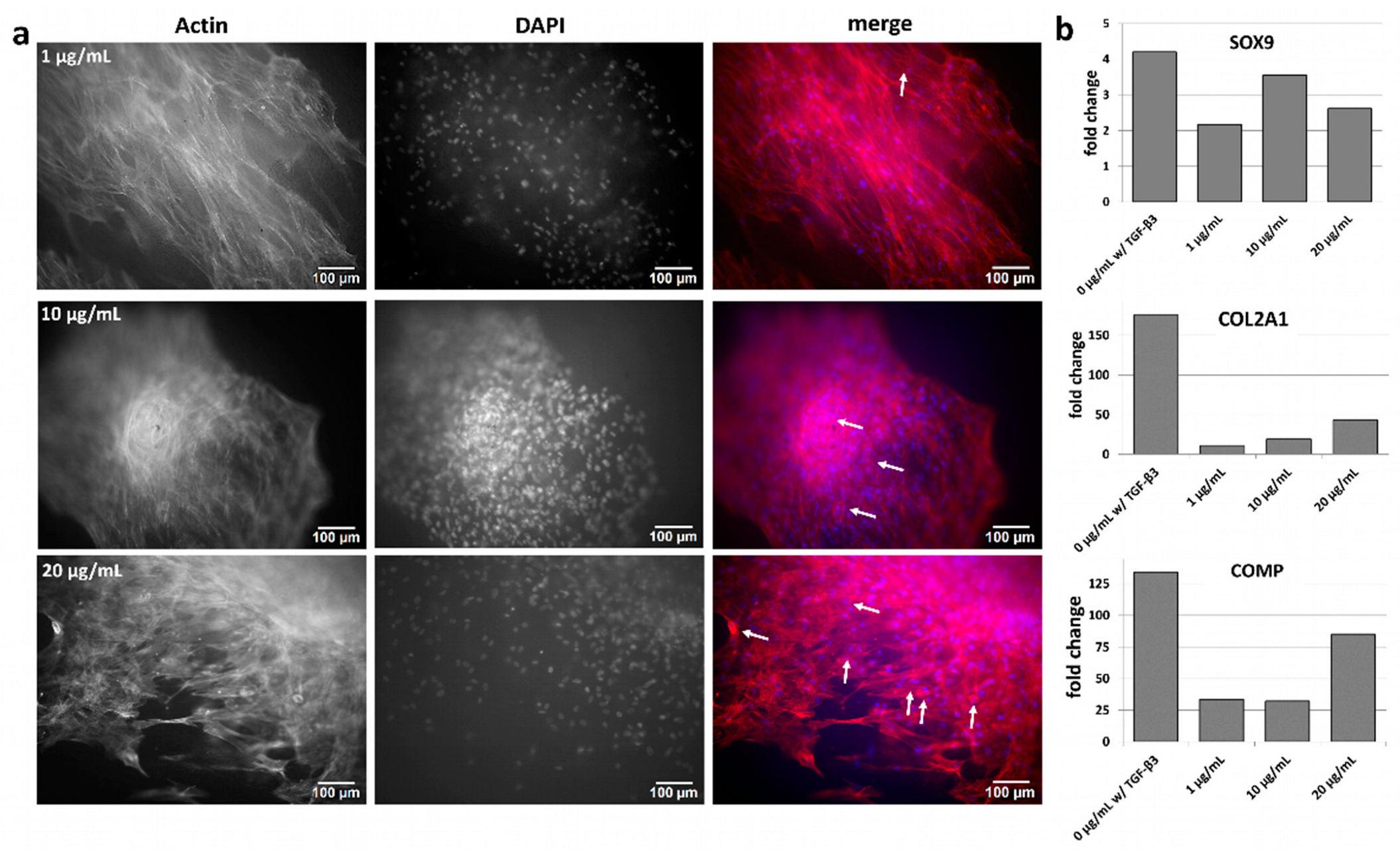 Pharmaceutics 15 01303 g006