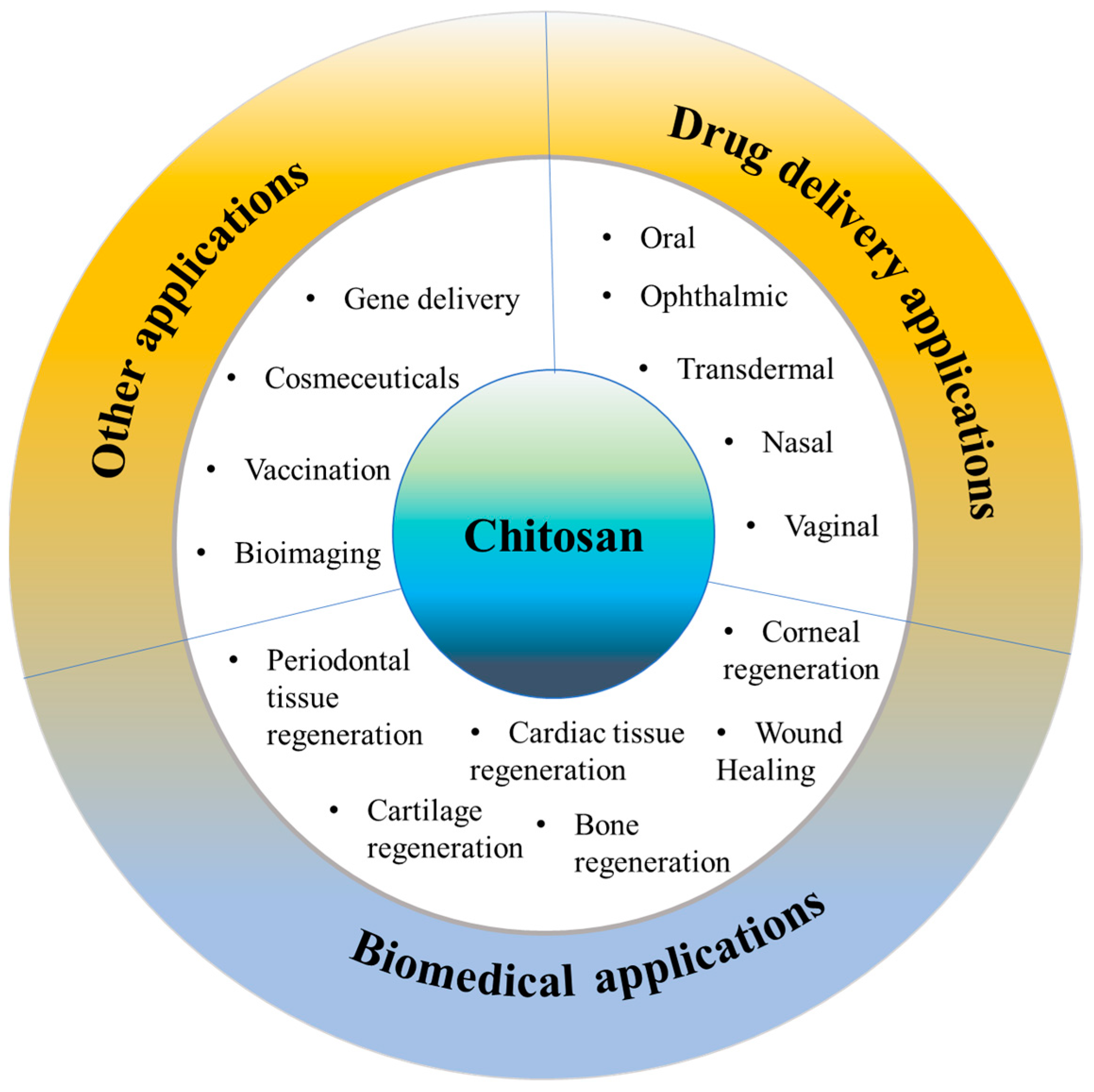 chitosan research