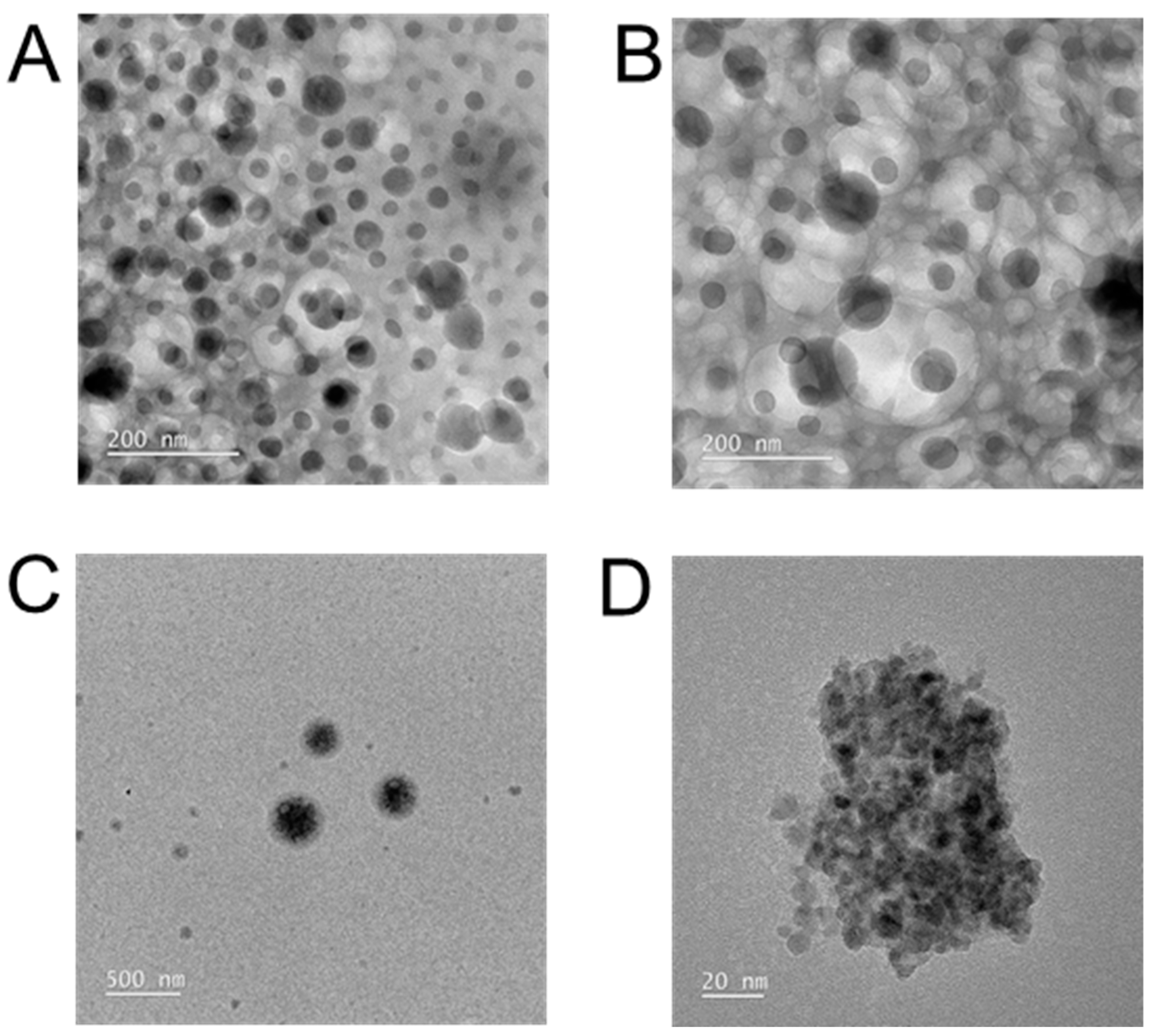 Pharmaceutics 15 01326 g004
