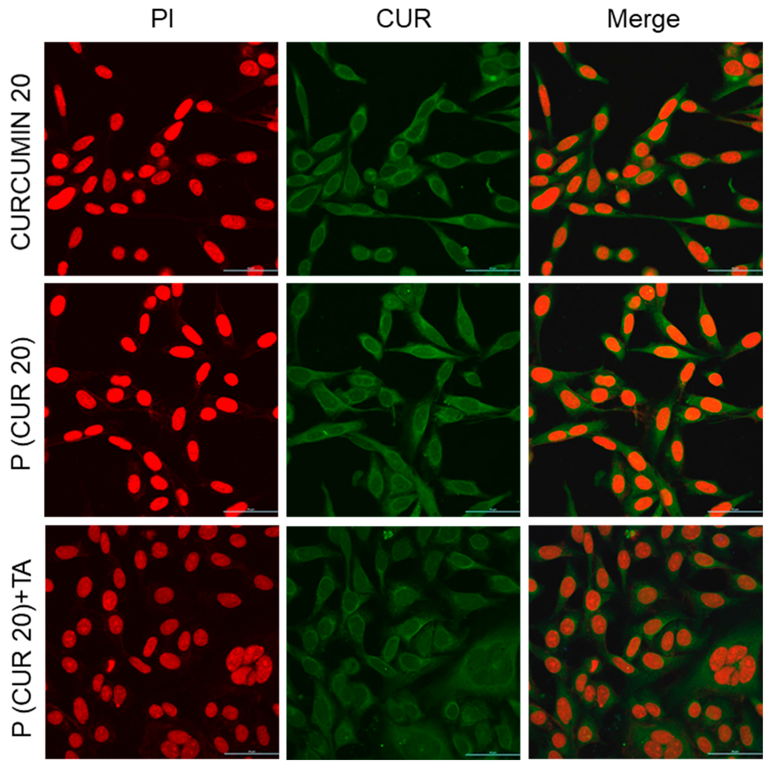 Pharmaceutics 15 01326 g009