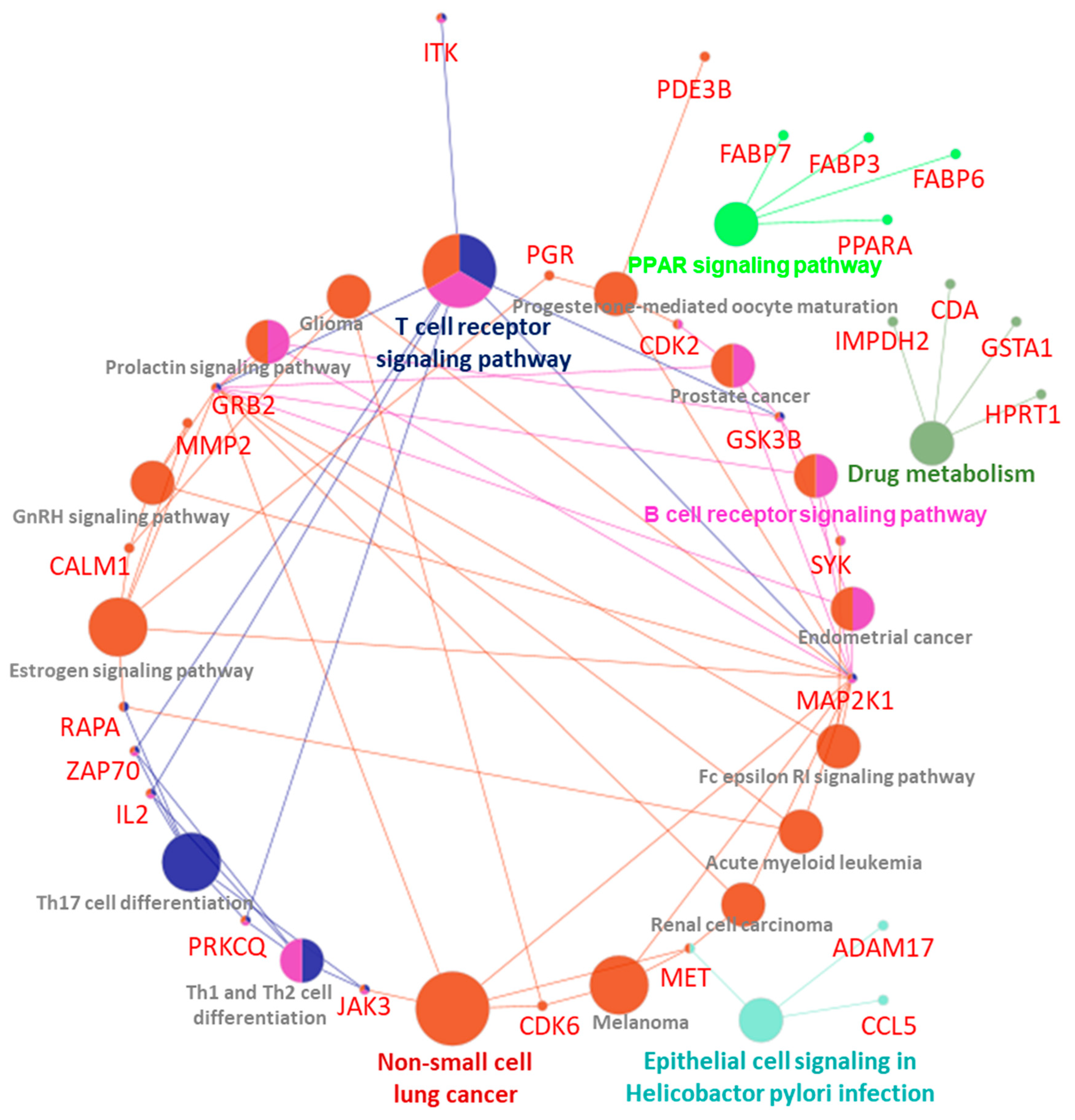 Pharmaceutics 15 01326 g012