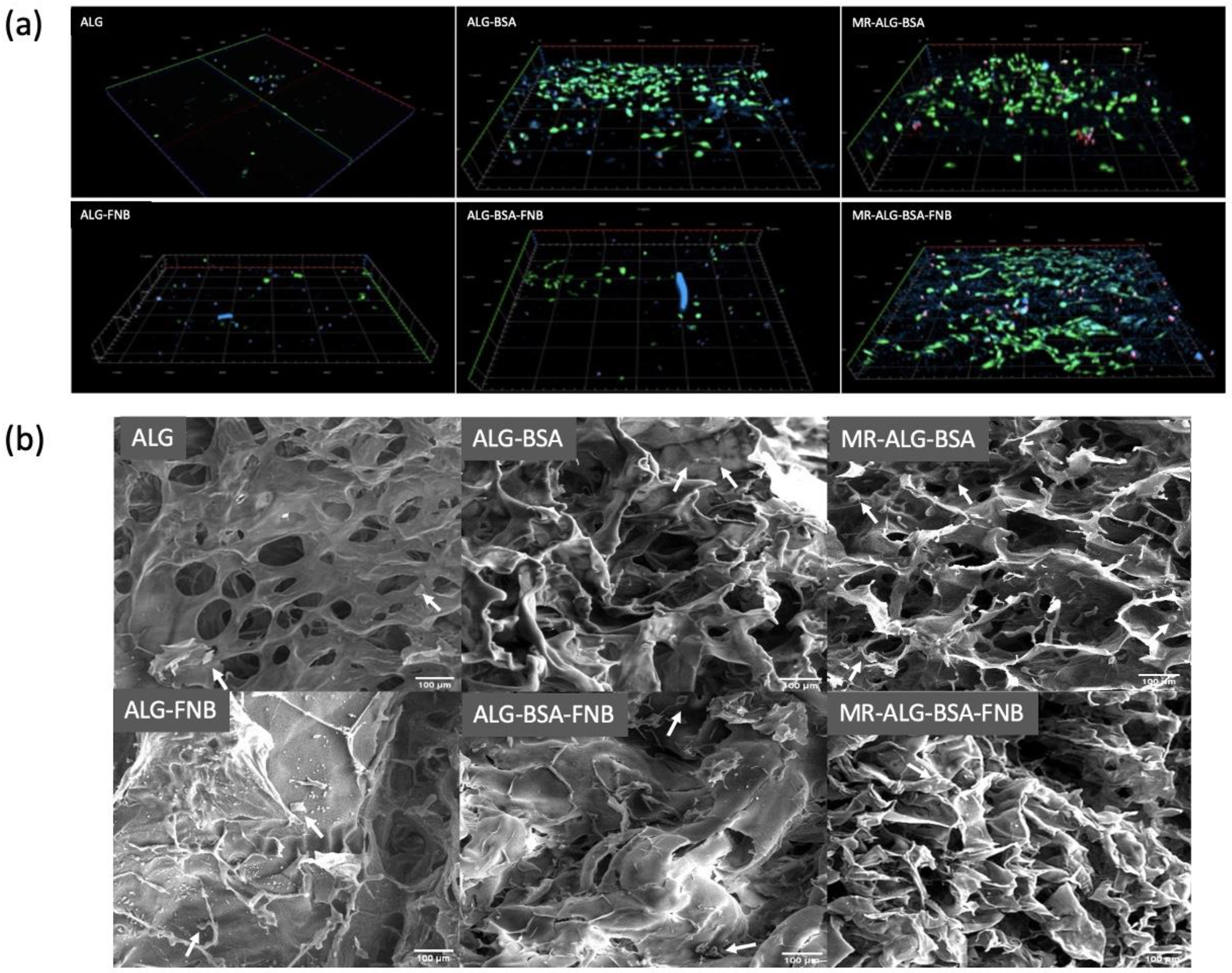 Pharmaceutics 15 01330 g005