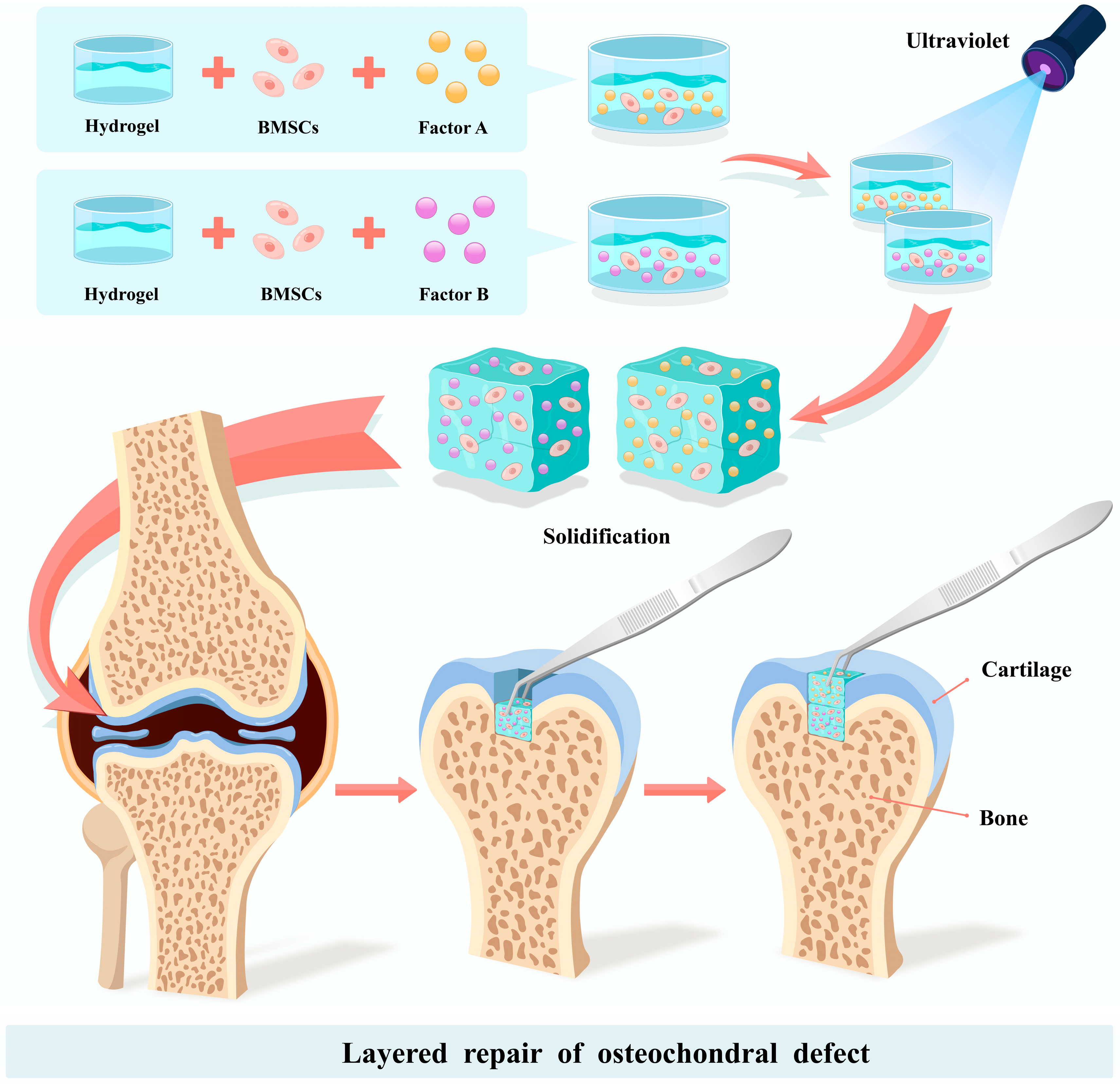 Pharmaceutics 15 01334 g001 Pharmaceutics 15 01334 g001