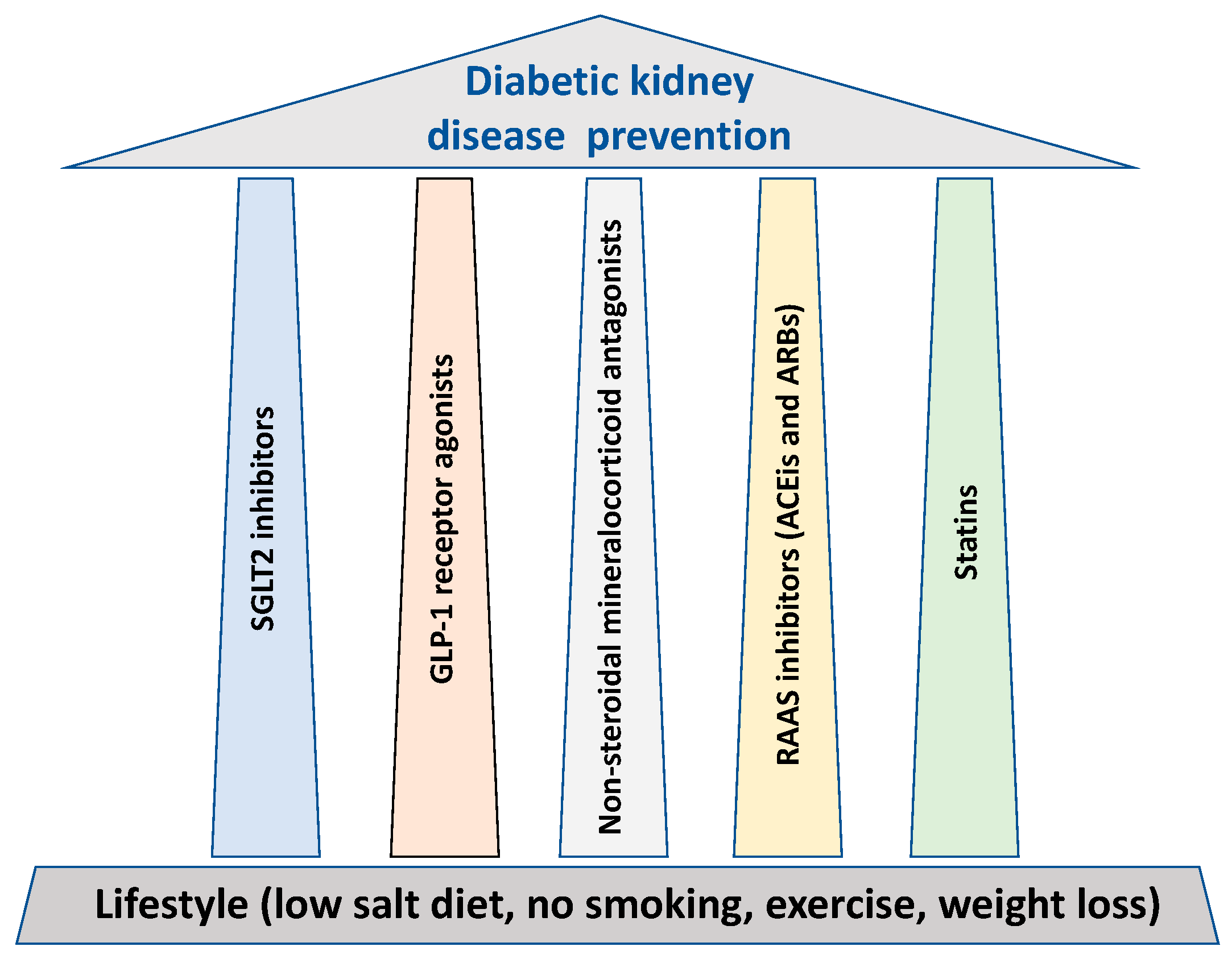 Pharmaceutics | Free Full-Text | The Pillars for Renal Disease Treatment in  Patients with Type 2 Diabetes