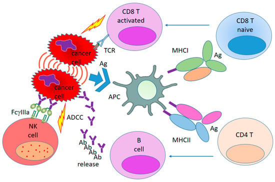 Pharmaceutics | Free Full-Text | Prospects for the Use of Metal-Based ...