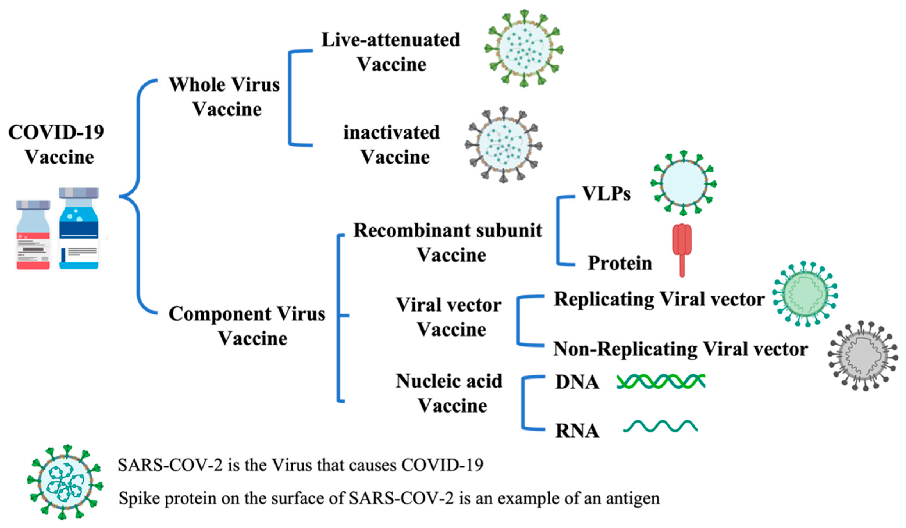 Pharmaceutics | Free Full-Text | Microneedles: An Emerging Vaccine ...