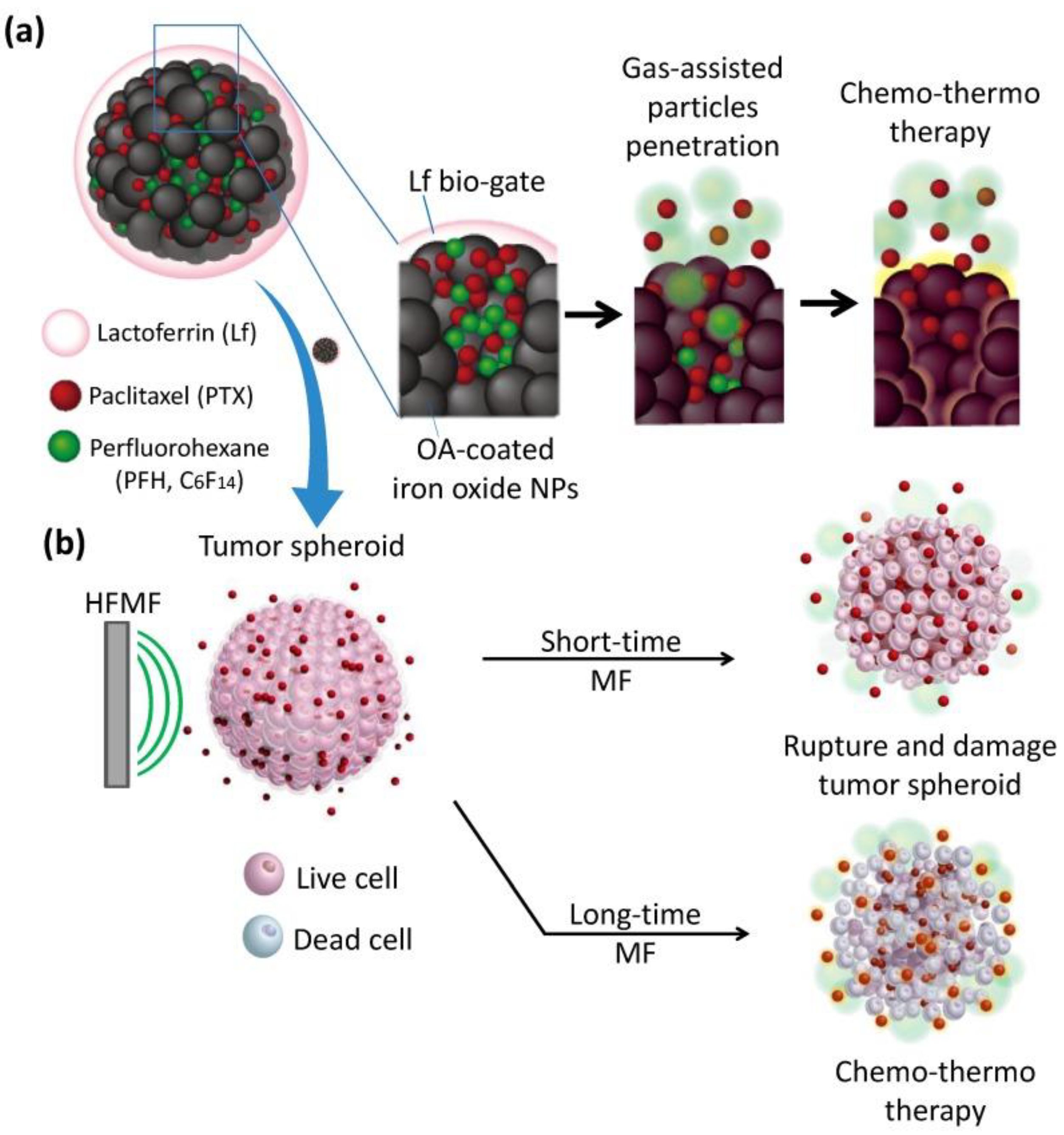 Pharmaceutics 15 01362 g002 Pharmaceutics 15 01362 g002