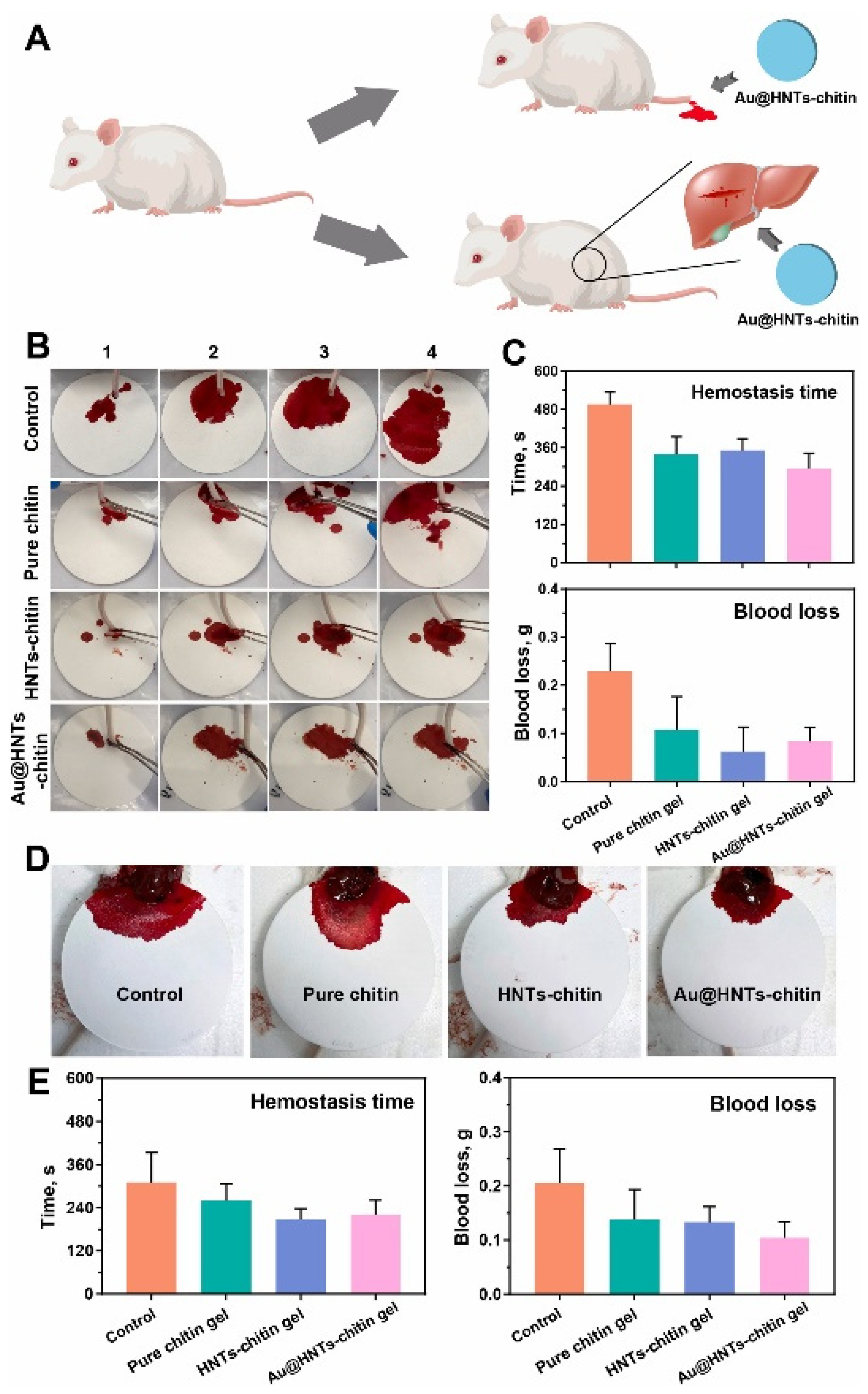 Pharmaceutics 15 01368 g008