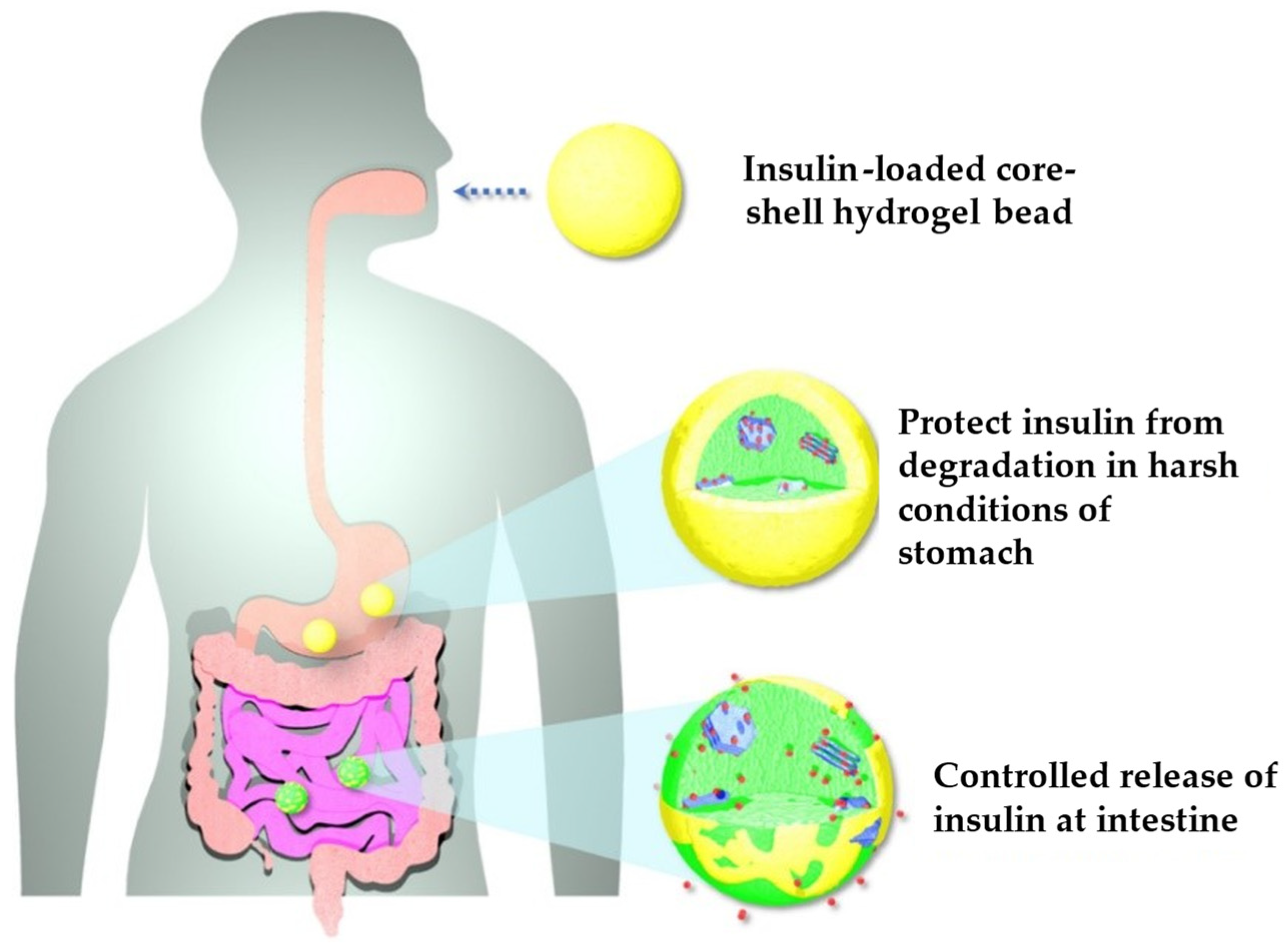 Pharmaceutics 15 01368 g013
