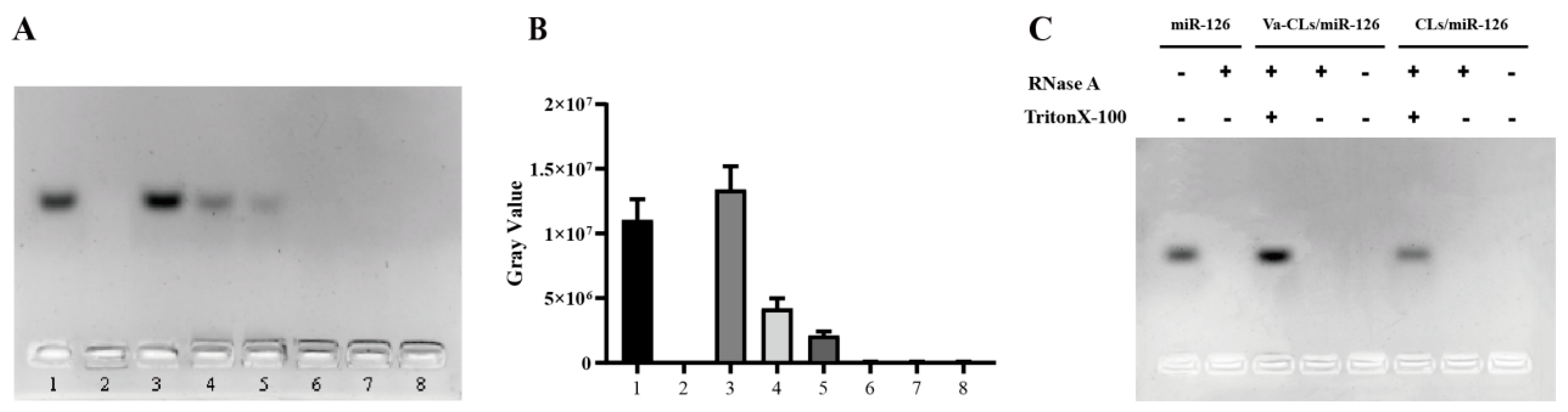 Pharmaceutics 15 01379 g003 Pharmaceutics 15 01379 g003