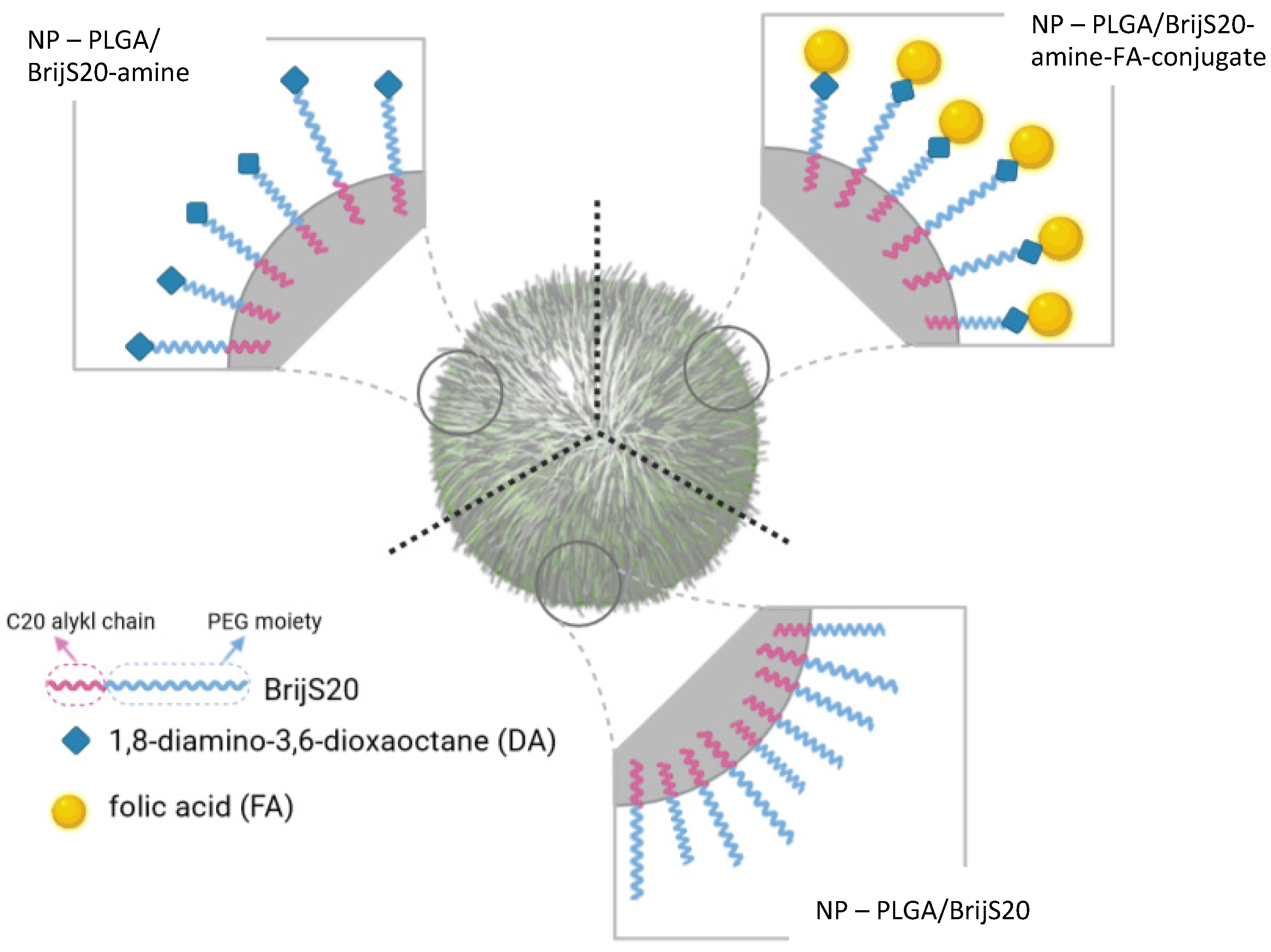 Pharmaceutics 15 01403 g002