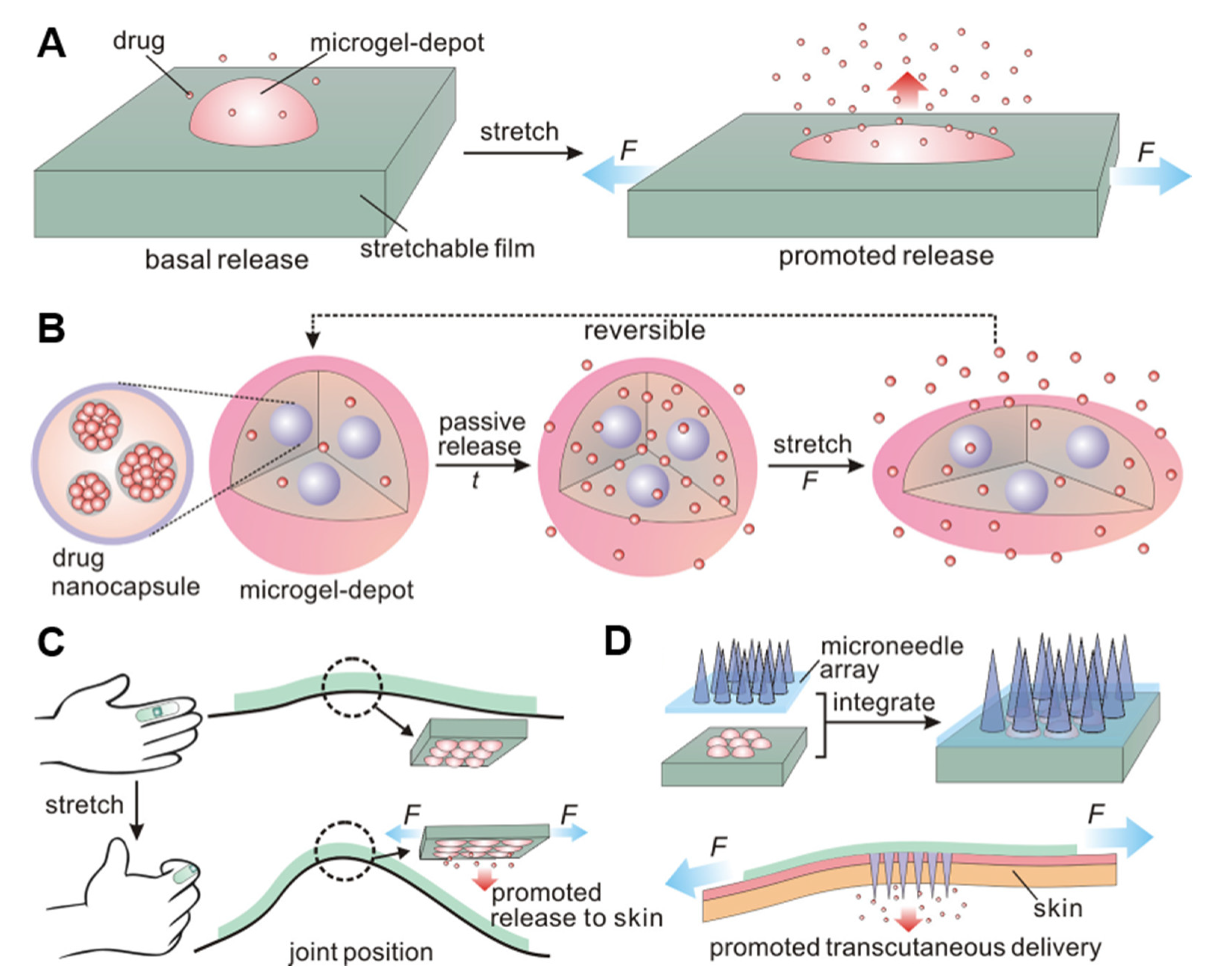 Pharmaceutics 15 01407 g009 Pharmaceutics 15 01407 g009
