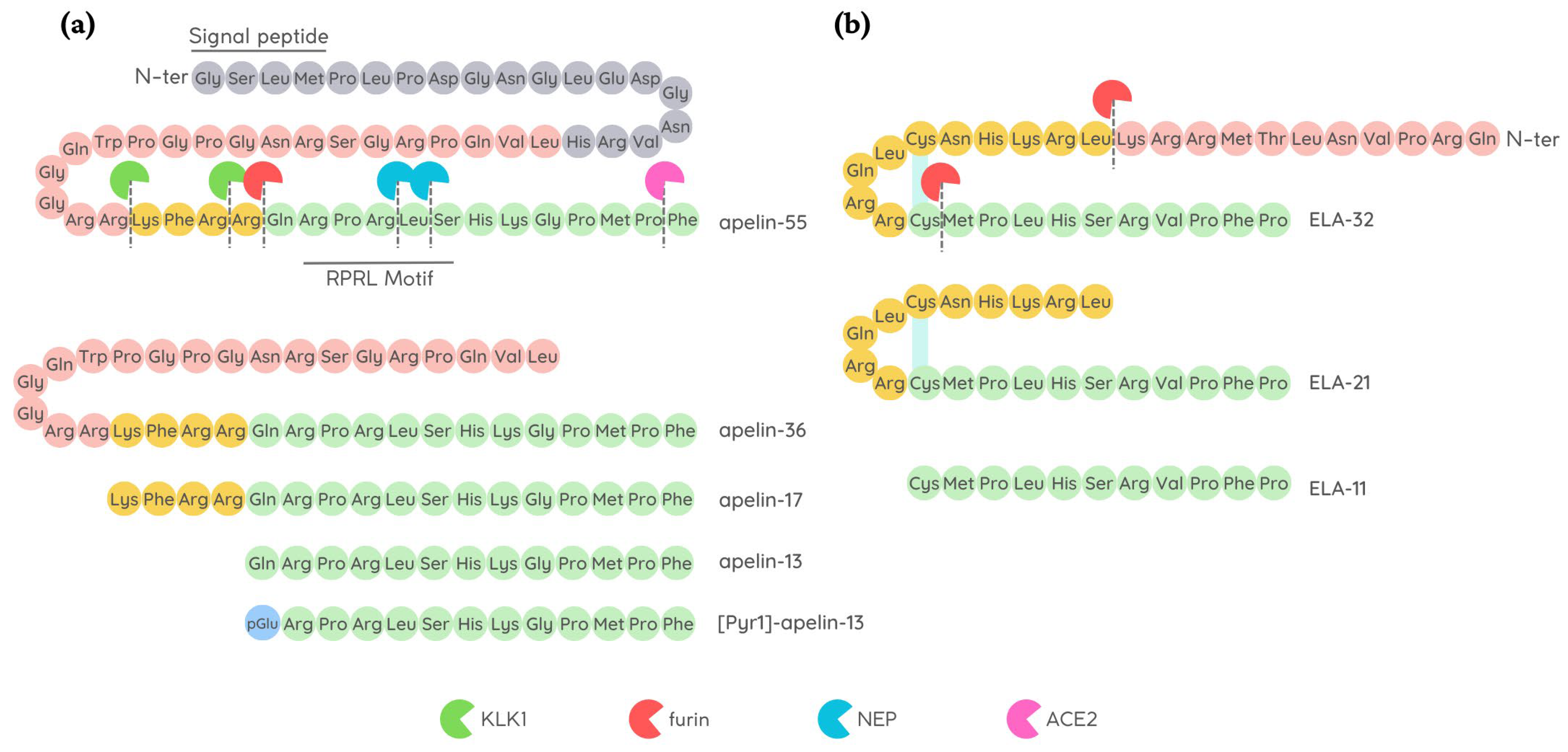 Pharmaceutics 15 01408 g001 Pharmaceutics 15 01408 g001