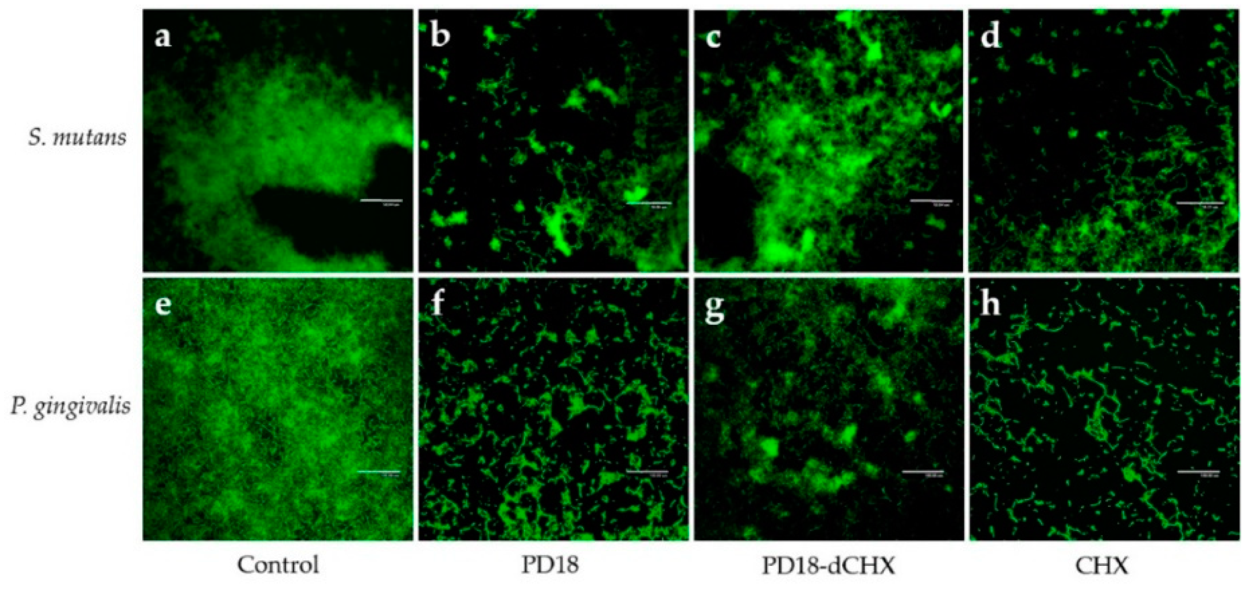 Pharmaceutics 15 01419 g004