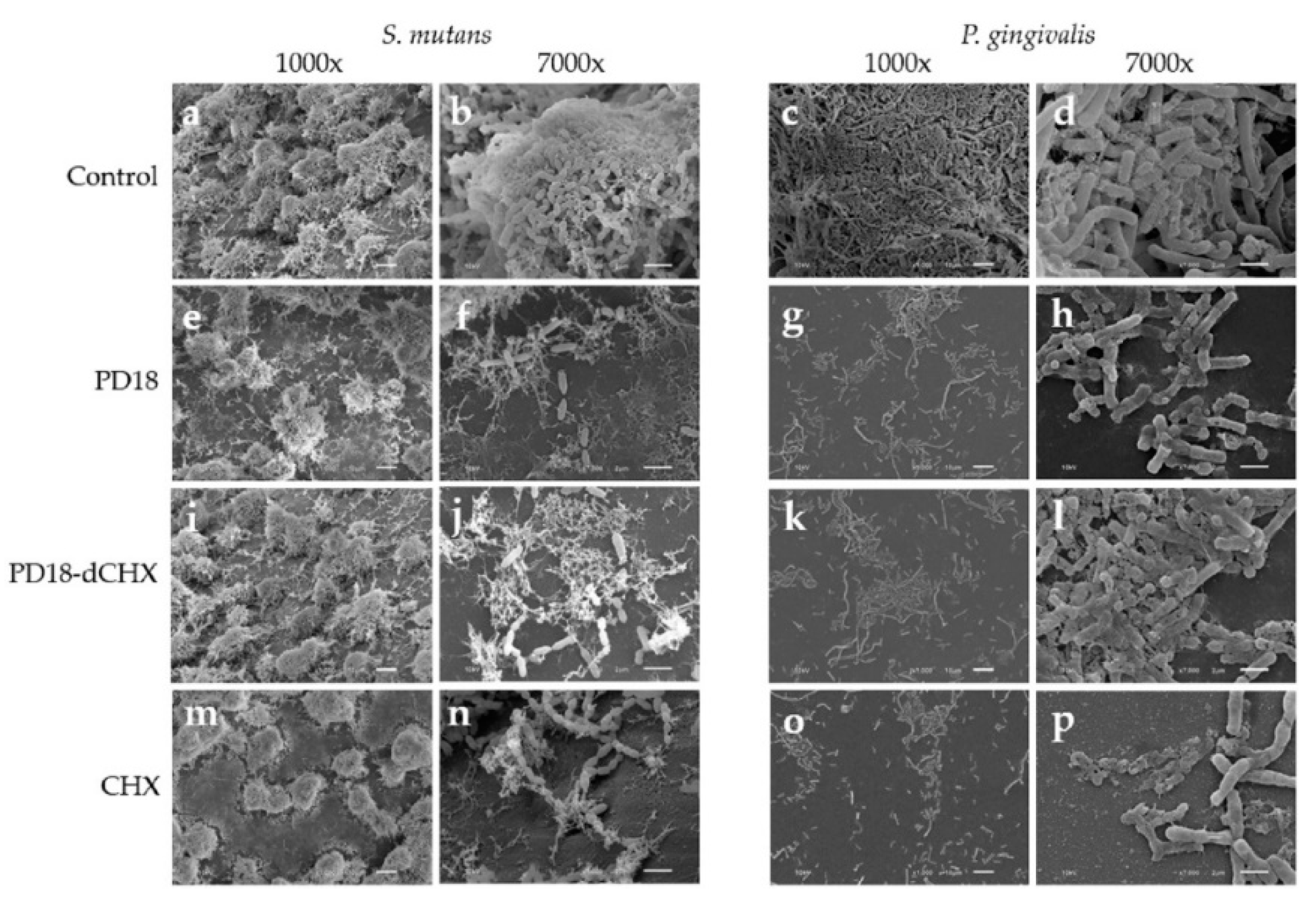 Pharmaceutics 15 01419 g005