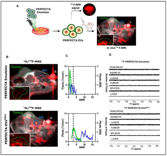 In Vivo Real-Time Imaging of Extracellular Vesicles in Liver