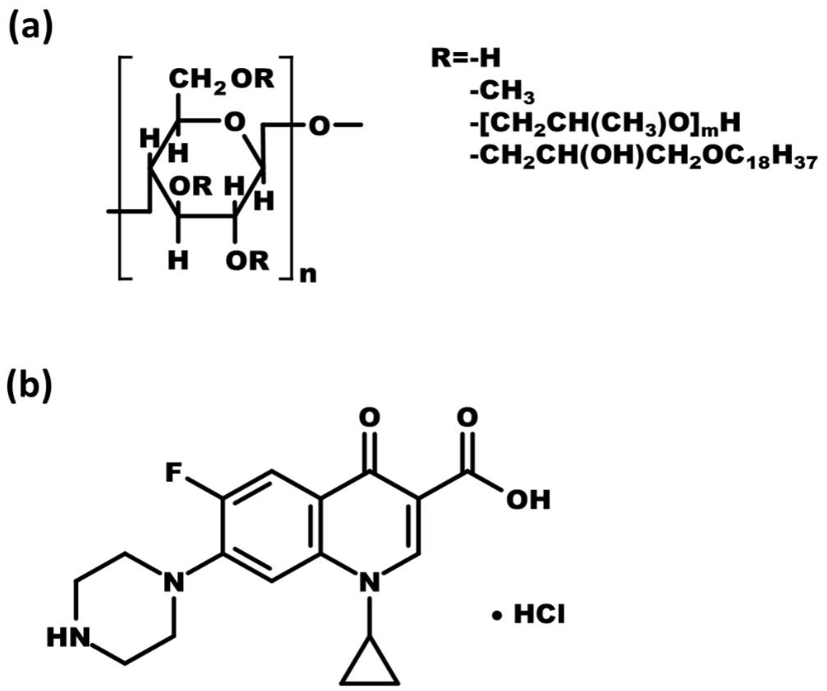 Pharmaceutics Free FullText Development of a Swellable and