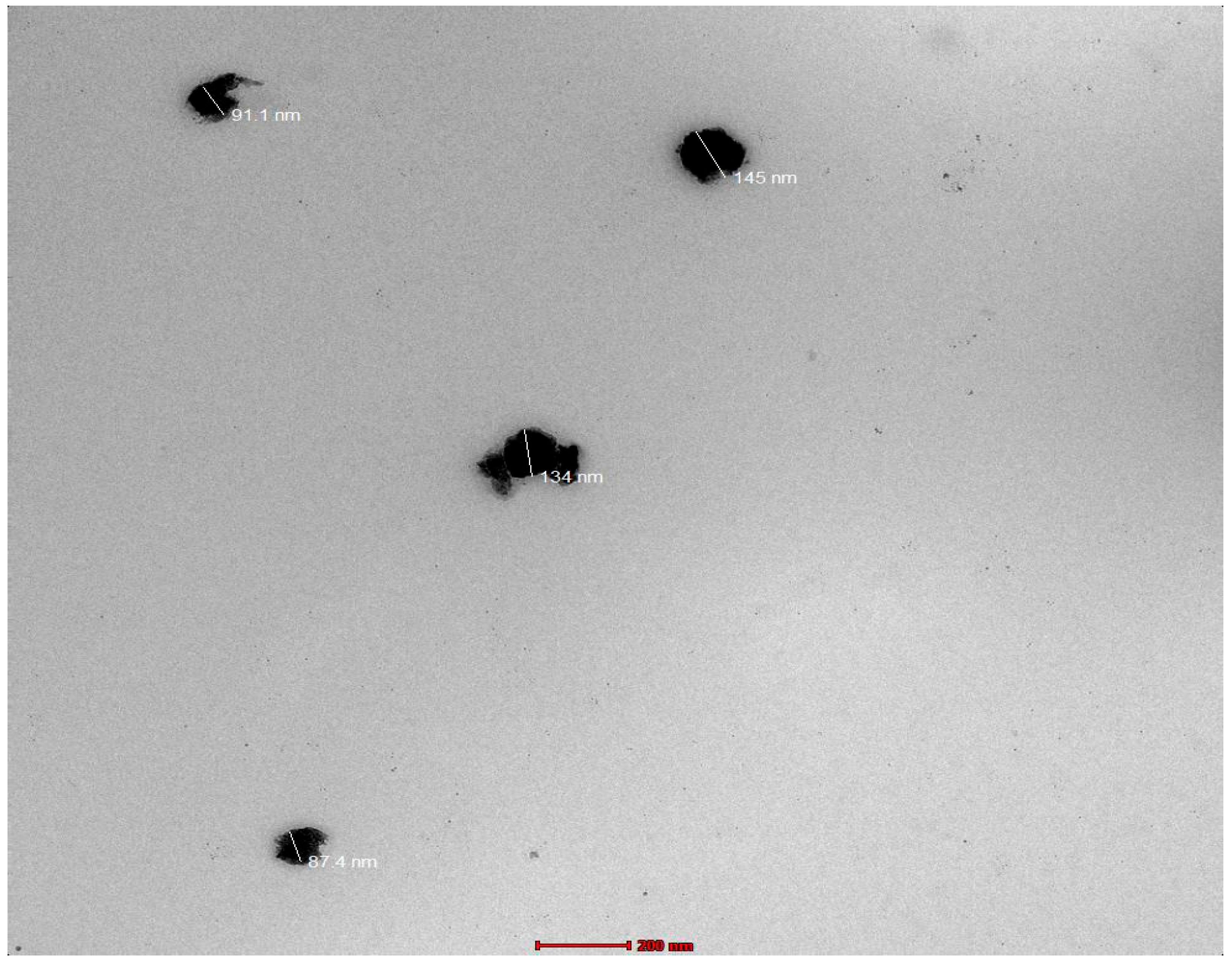 Pharmaceutics 15 01434 g004 Pharmaceutics 15 01434 g004