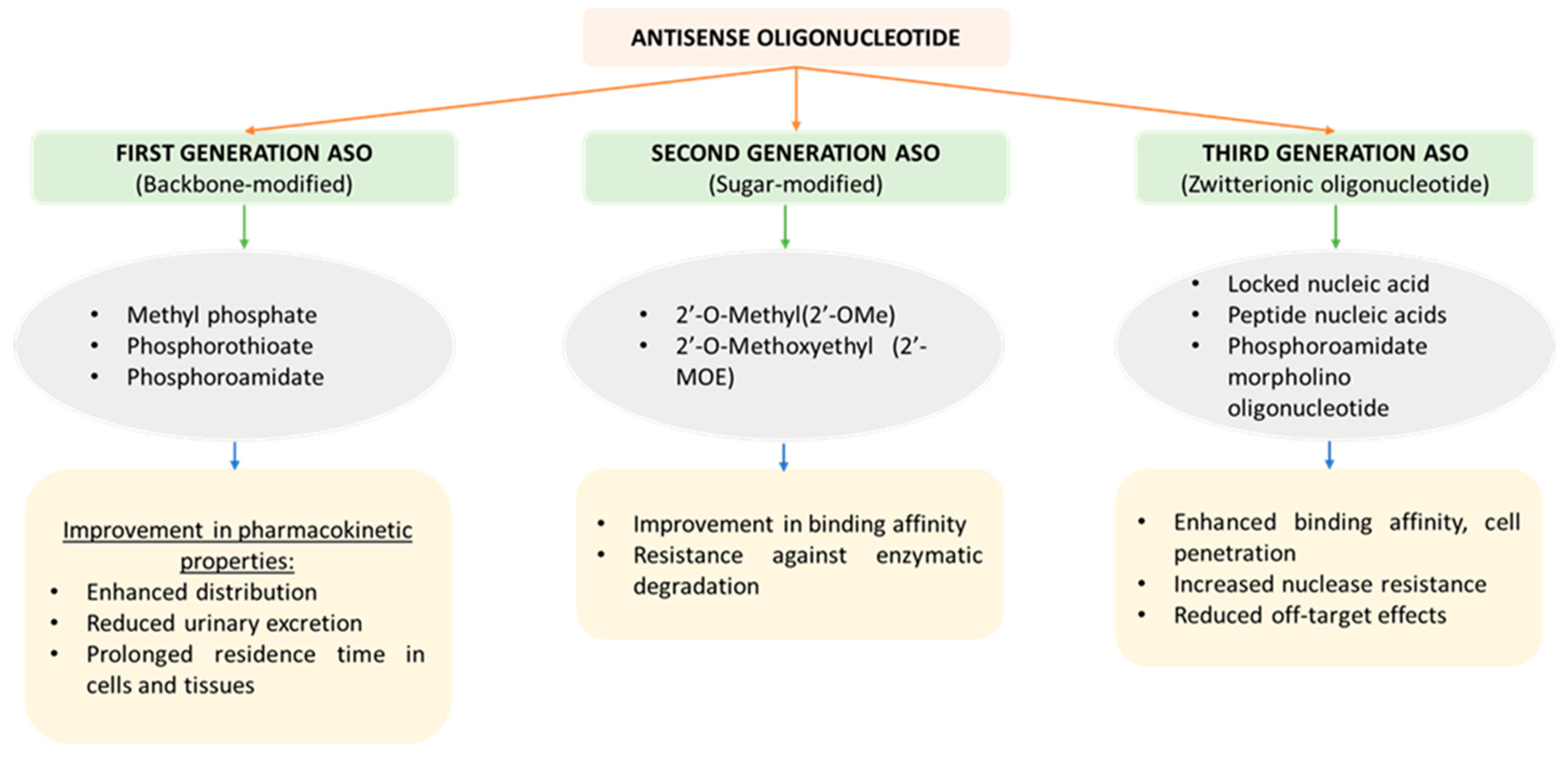 Pharmaceutics 15 01435 g003 Pharmaceutics 15 01435 g003