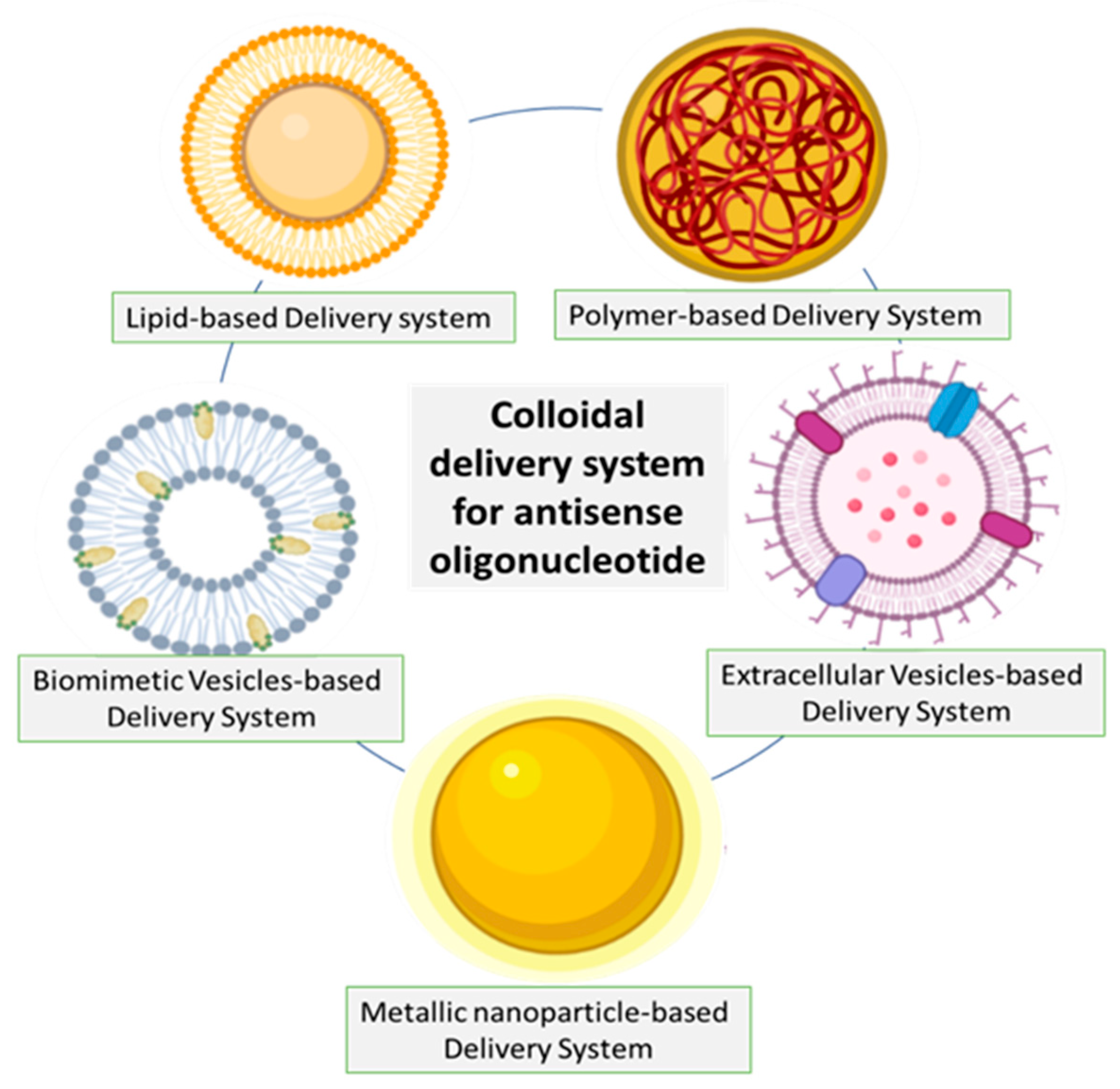Pharmaceutics 15 01435 g005 Pharmaceutics 15 01435 g005