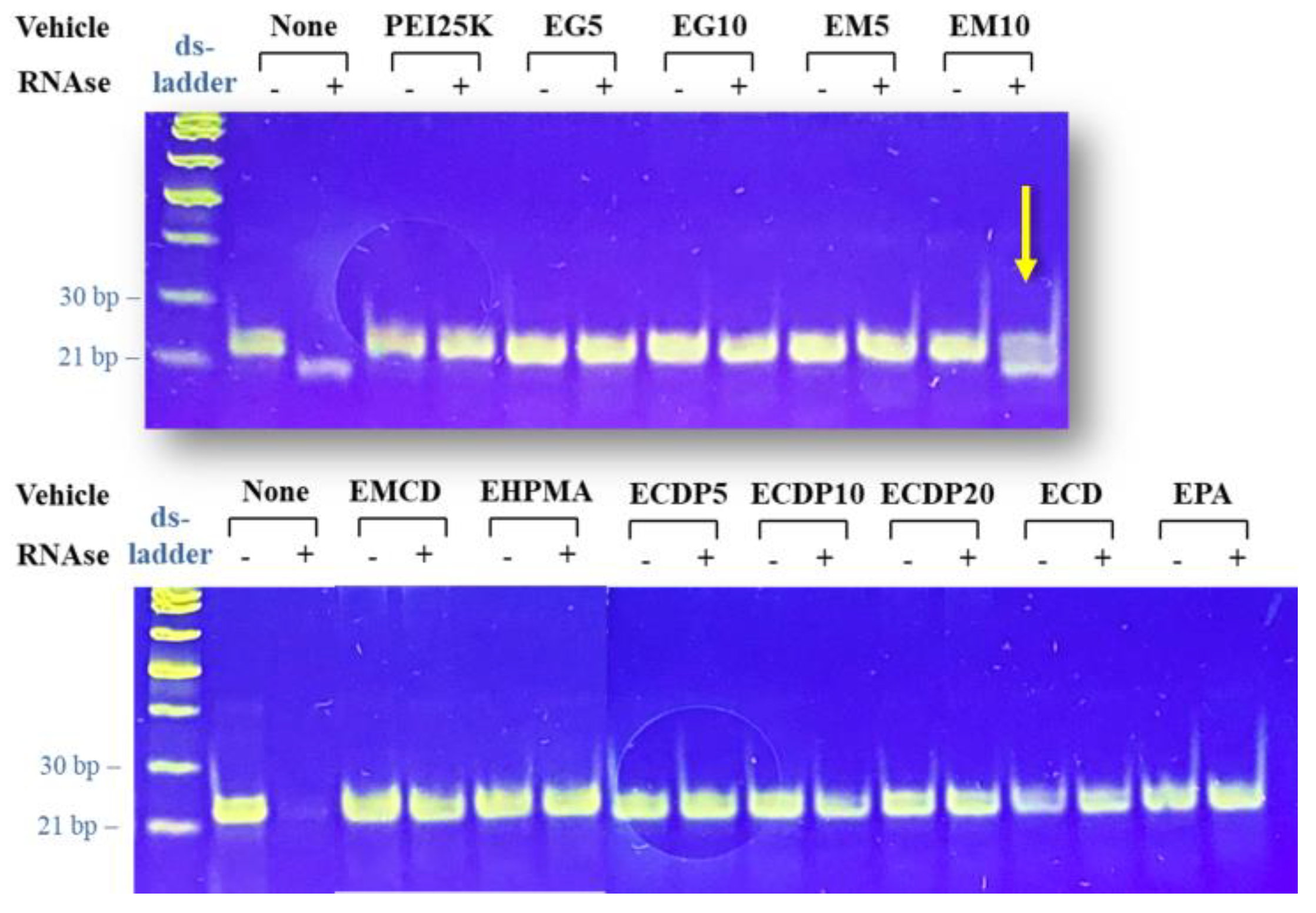 Pharmaceutics 15 01451 g003