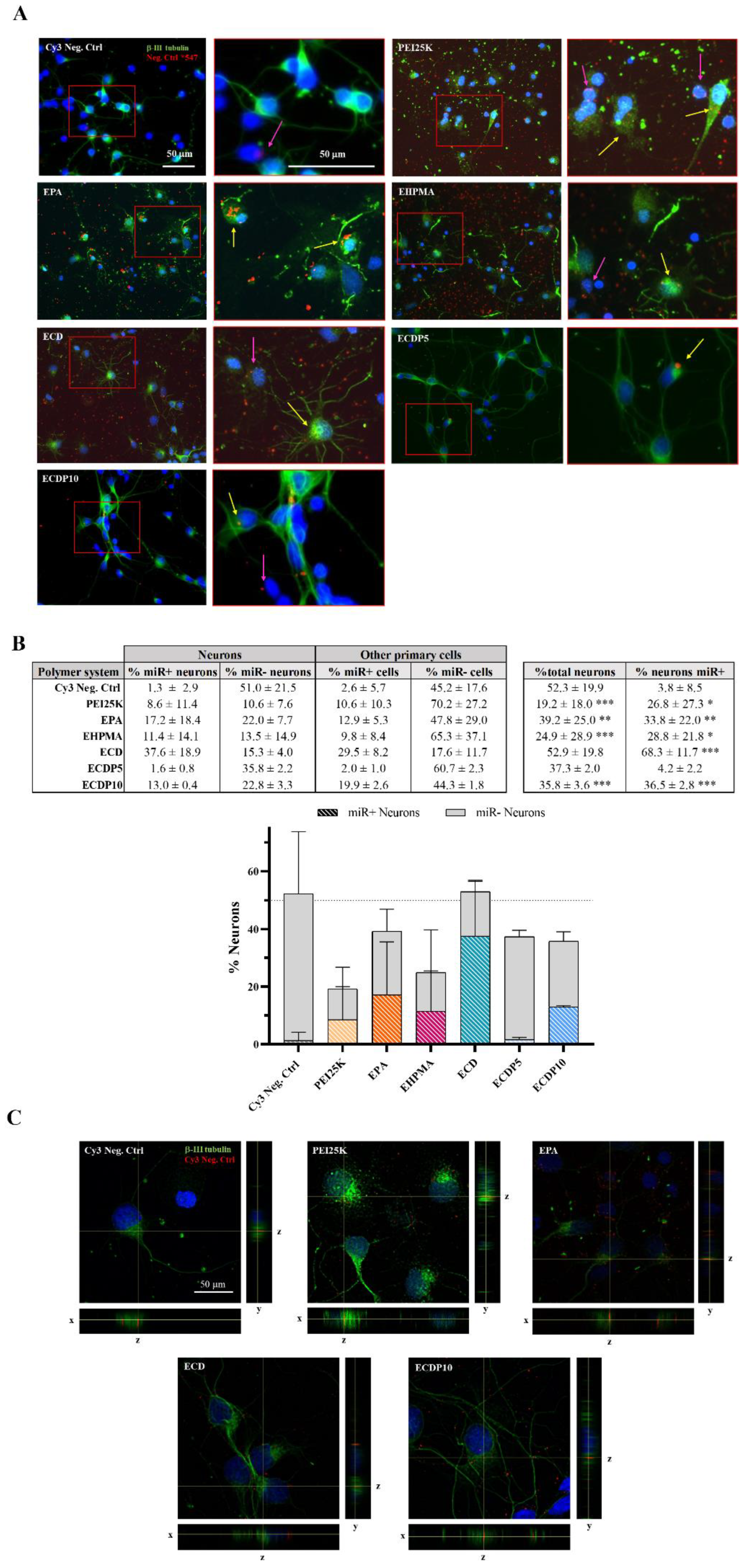 Pharmaceutics 15 01451 g008