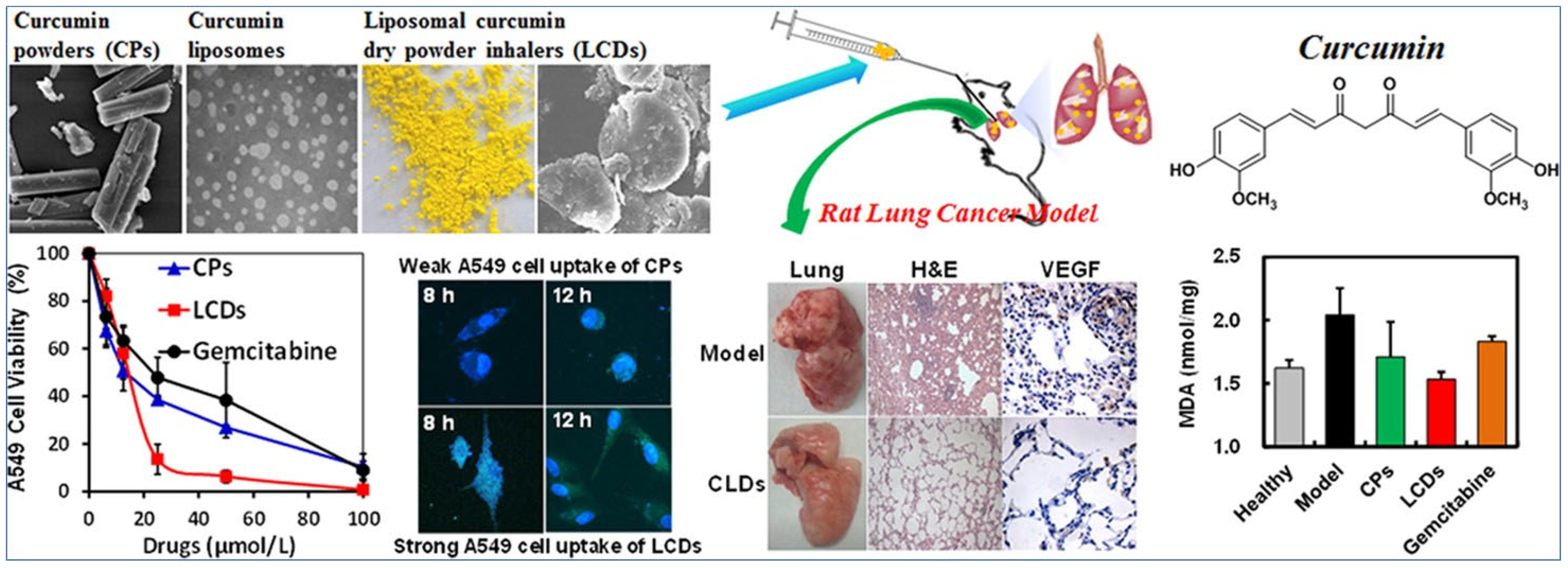 Pharmaceutics 15 01457 g003 Pharmaceutics 15 01457 g003