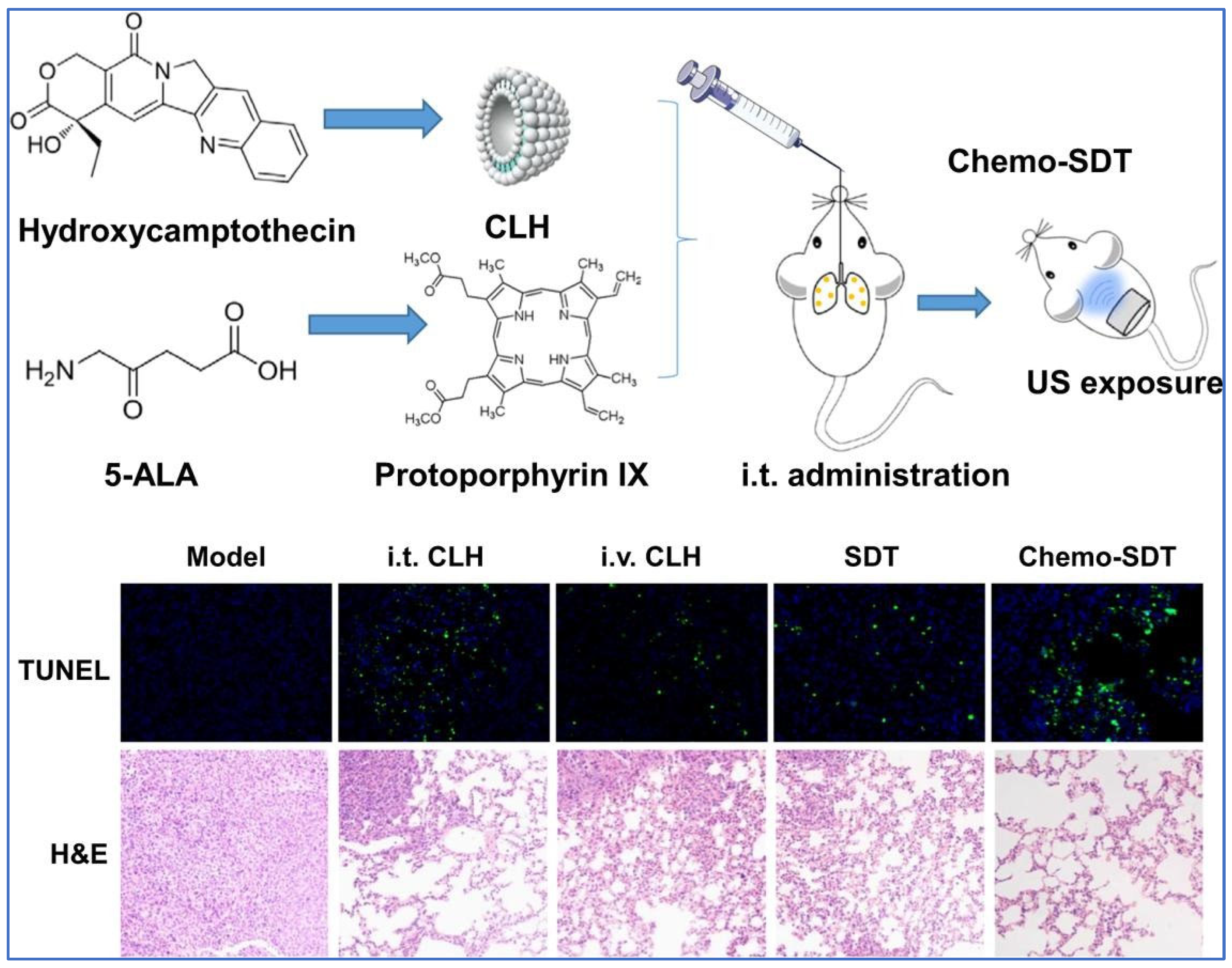 Pharmaceutics 15 01457 g005 Pharmaceutics 15 01457 g005