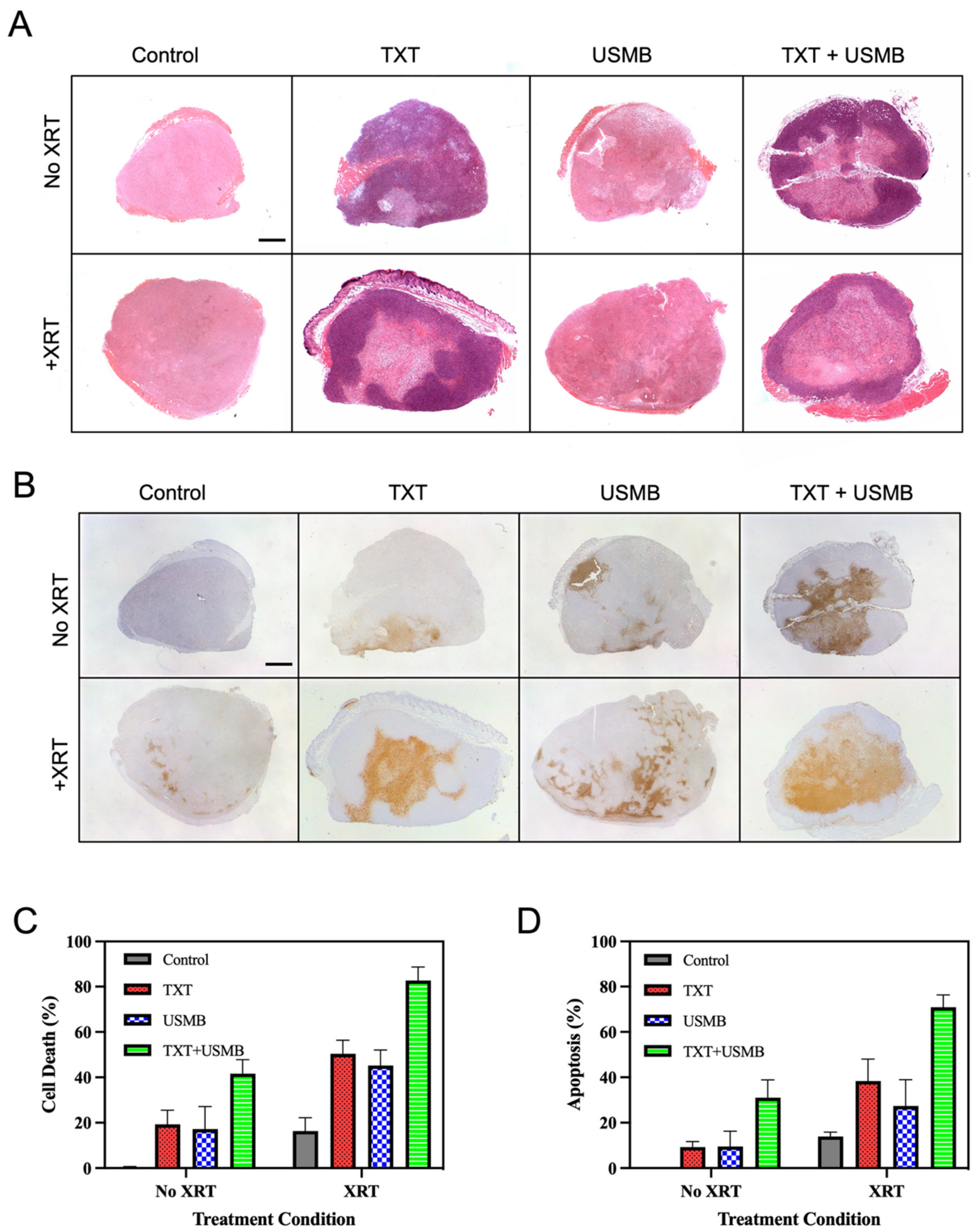 Pharmaceutics 15 01468 g001 Pharmaceutics 15 01468 g001