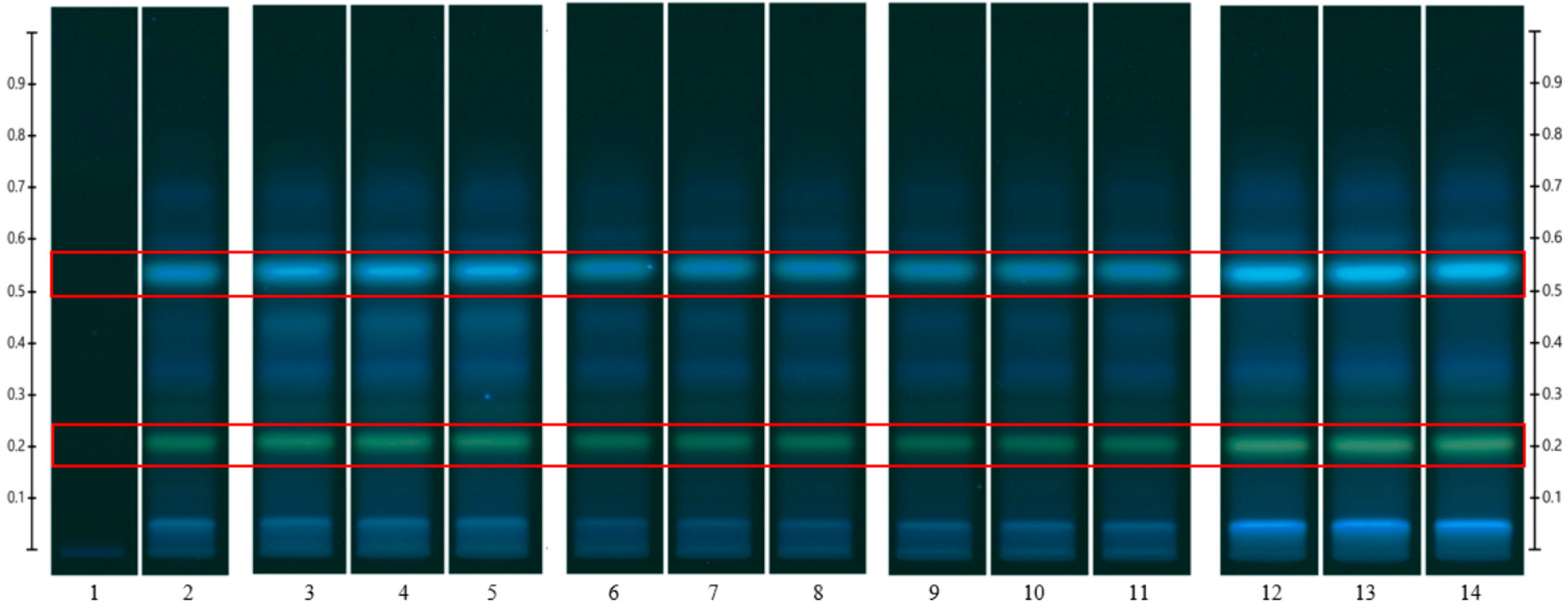 Pharmaceutics 15 01483 g006
