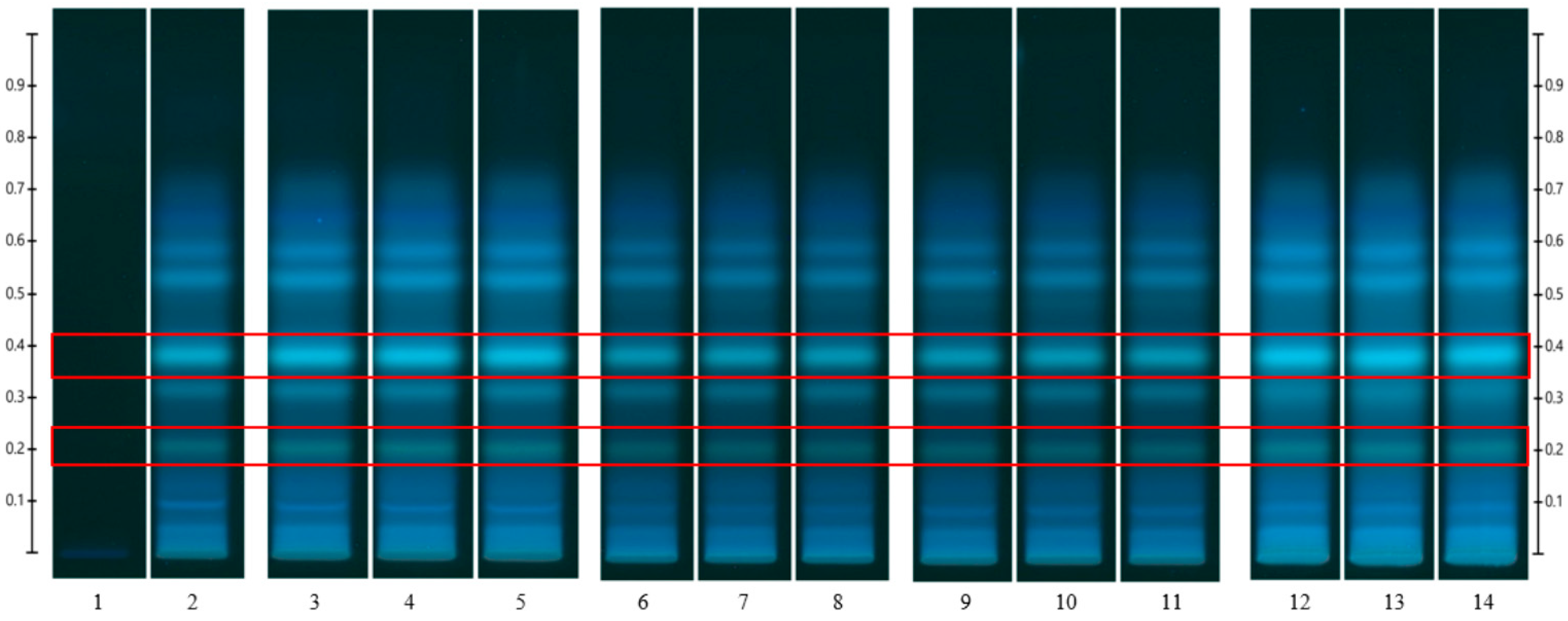 Pharmaceutics 15 01483 g012