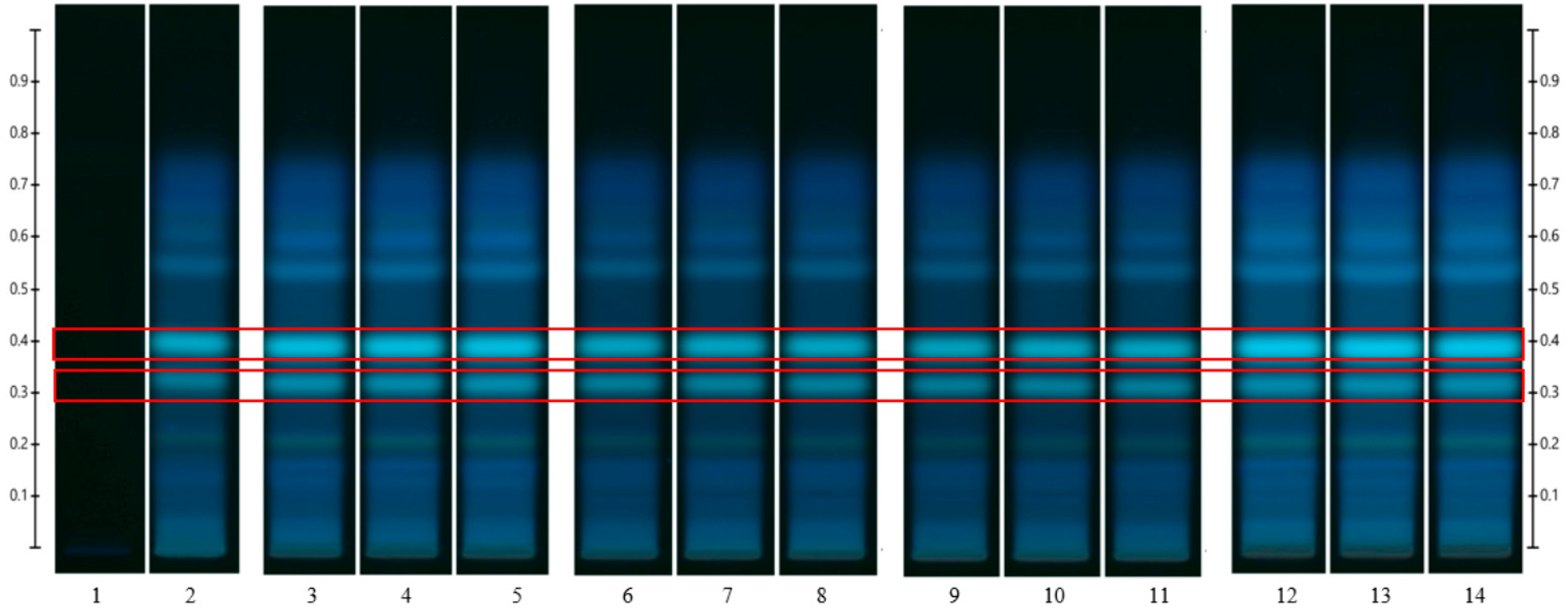 Pharmaceutics 15 01483 g014
