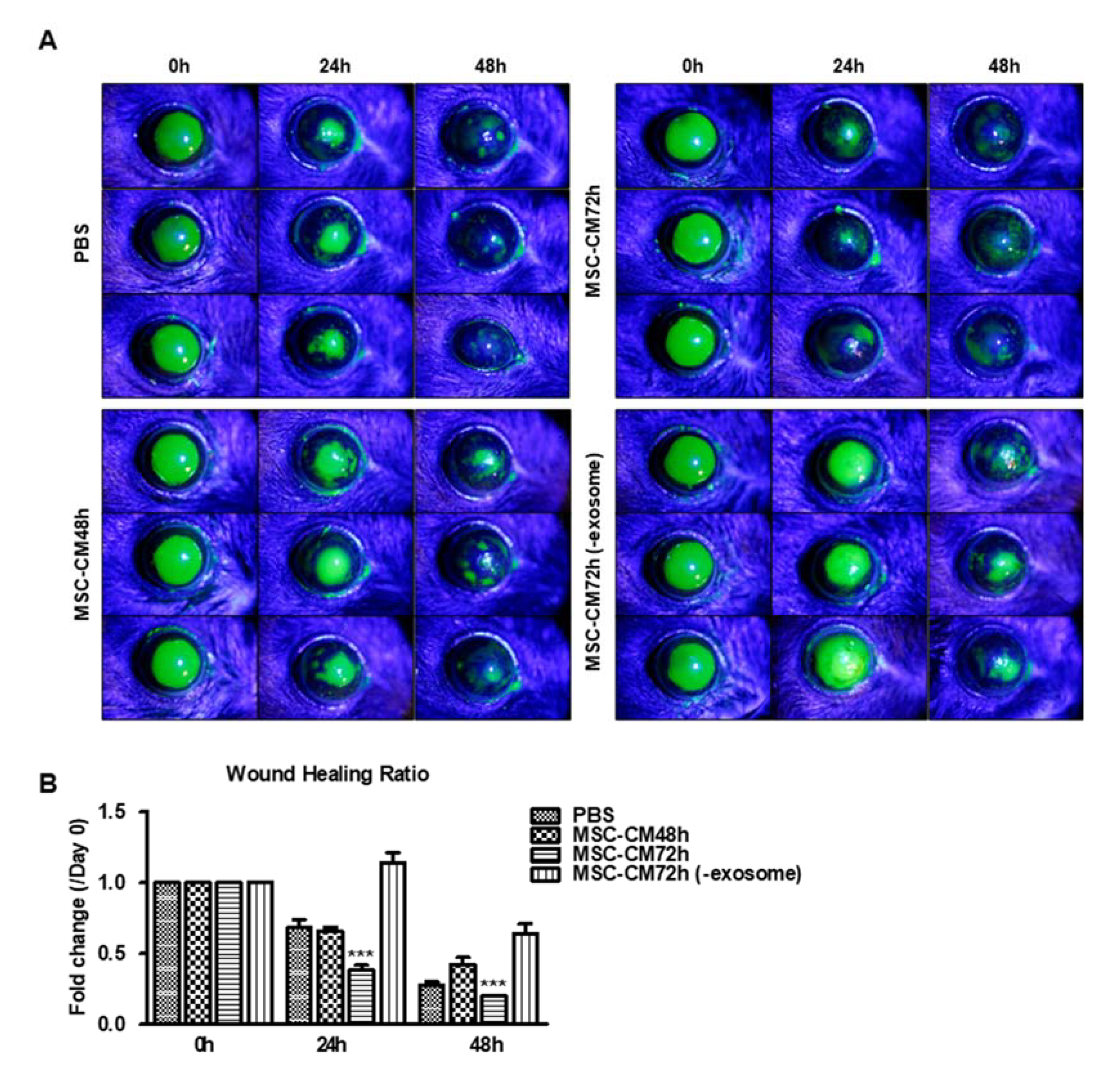 Pharmaceutics 15 01486 g003