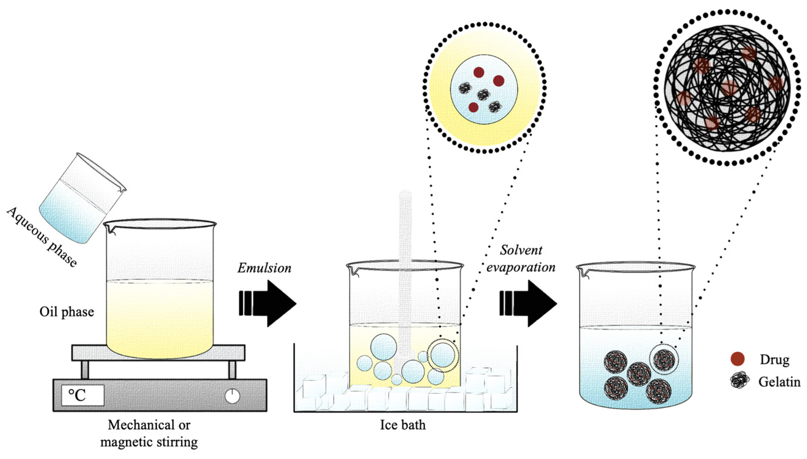 Pharmaceutics | Free Full-Text | Current Trends In Gelatin-Based Drug ...