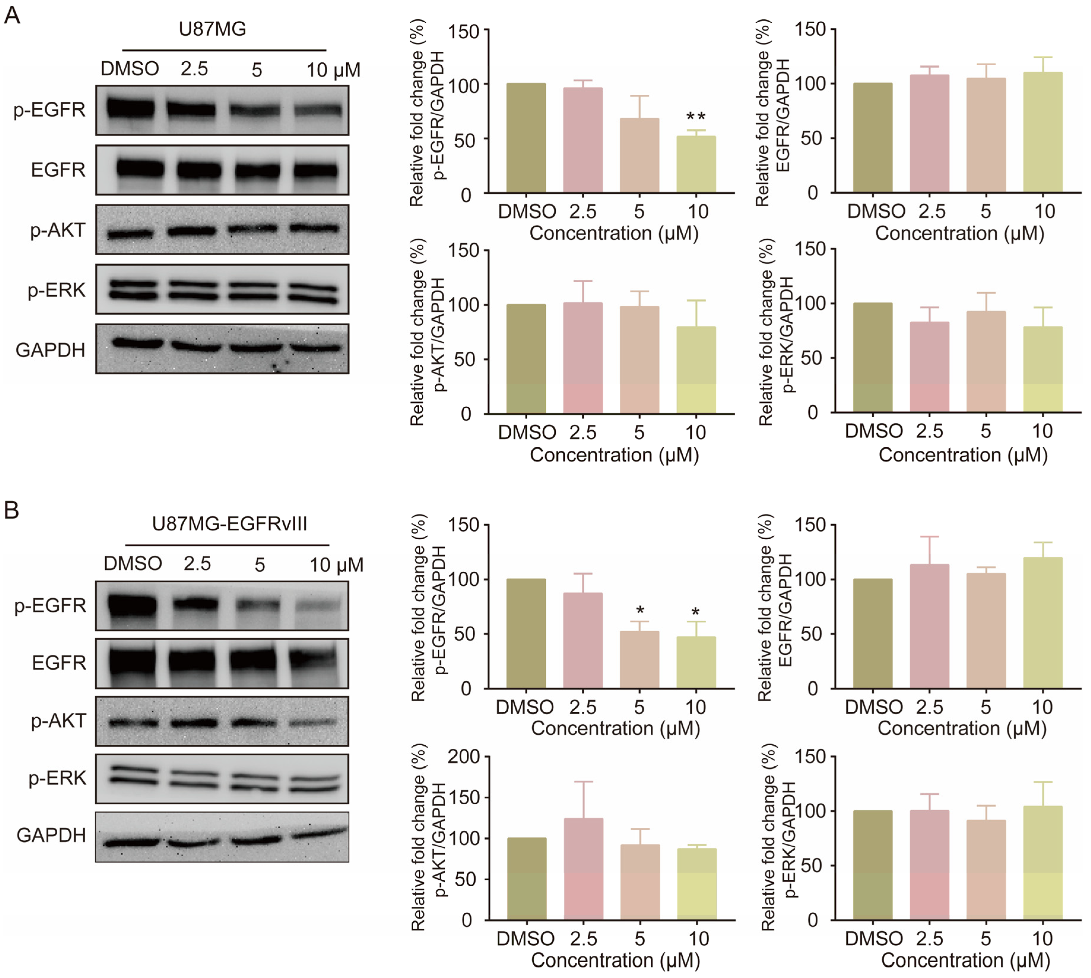 Pharmaceutics 15 01501 g003 Pharmaceutics 15 01501 g003