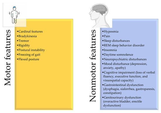 Pharmaceutics Free Full Text The Management of Parkinson rsquo