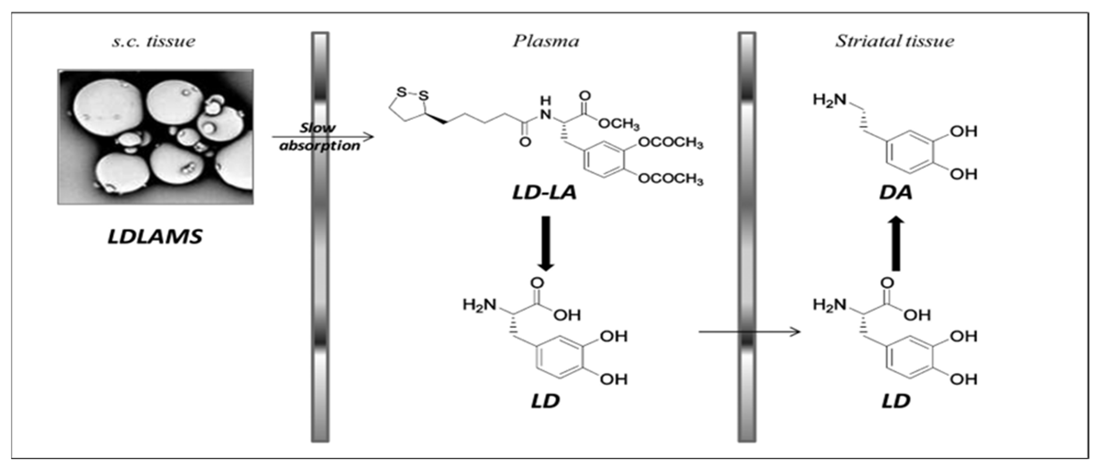 Pharmaceutics 15 01503 g007 Pharmaceutics 15 01503 g007