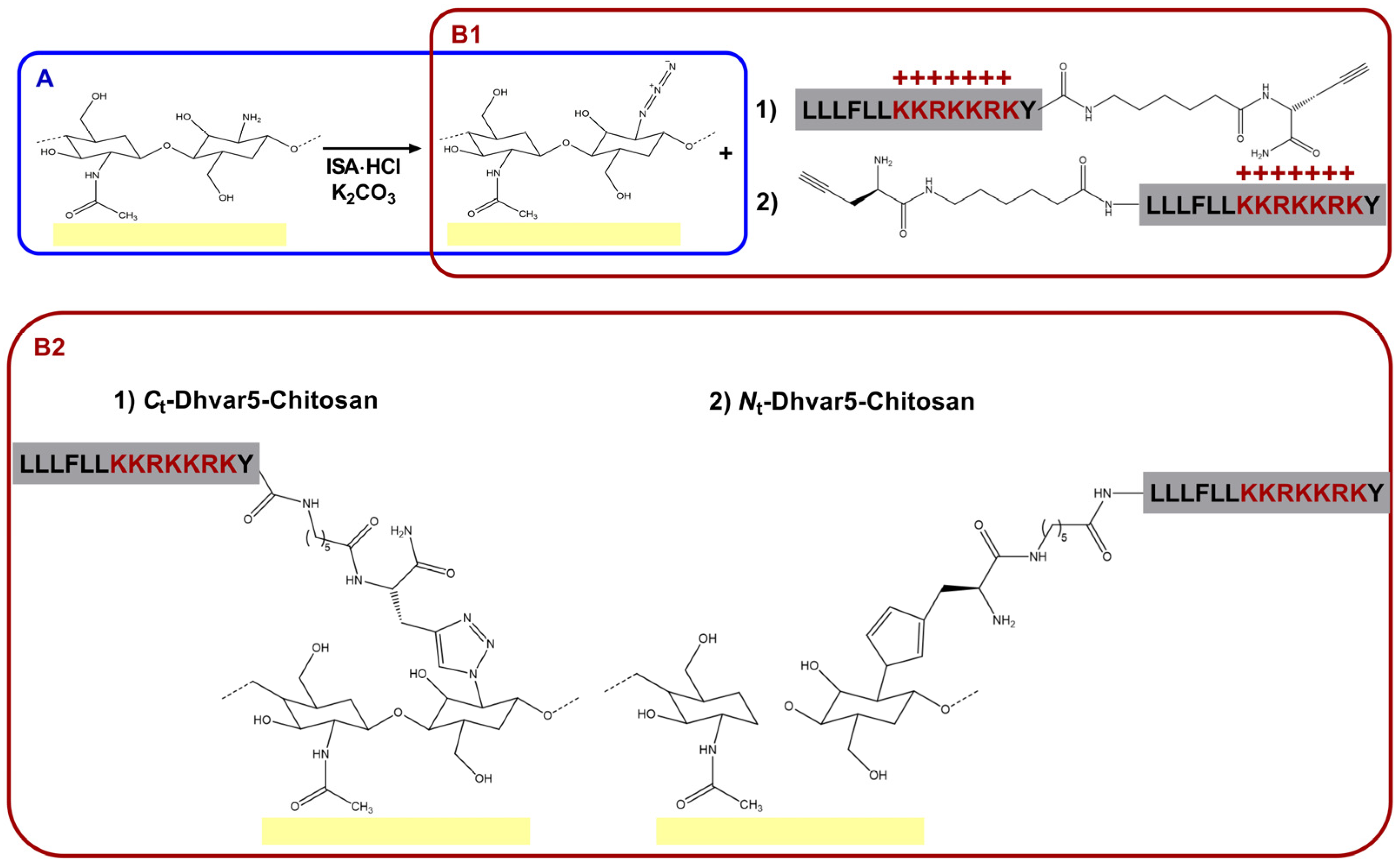 Pharmaceutics | Free Full-Text | Influence of Immobilization