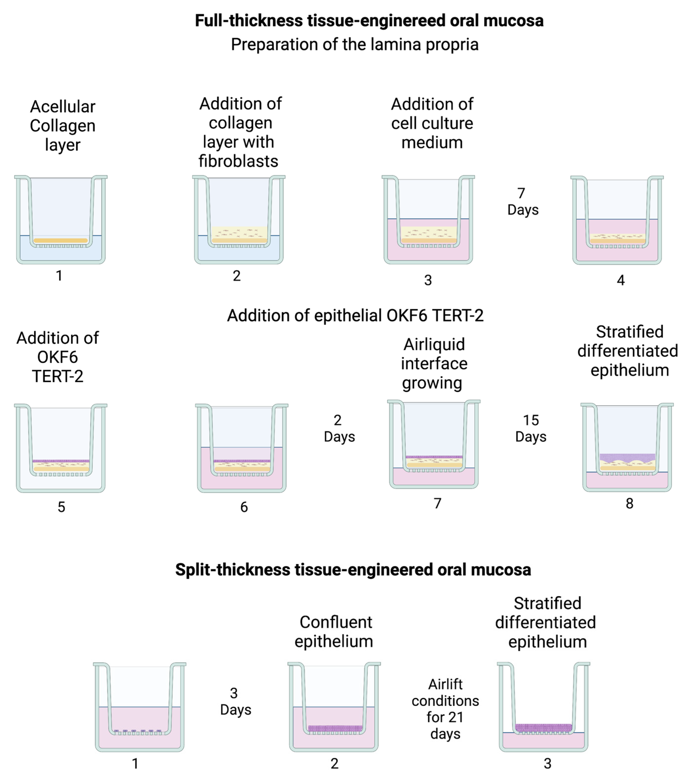 Pharmaceutics 15 01513 g001