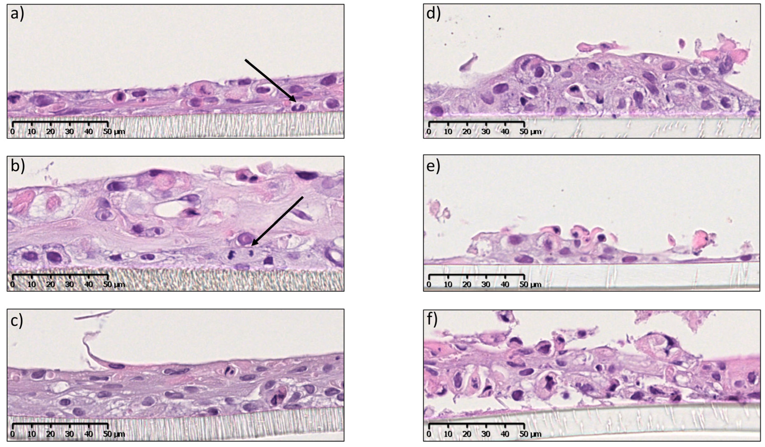 Pharmaceutics 15 01513 g004