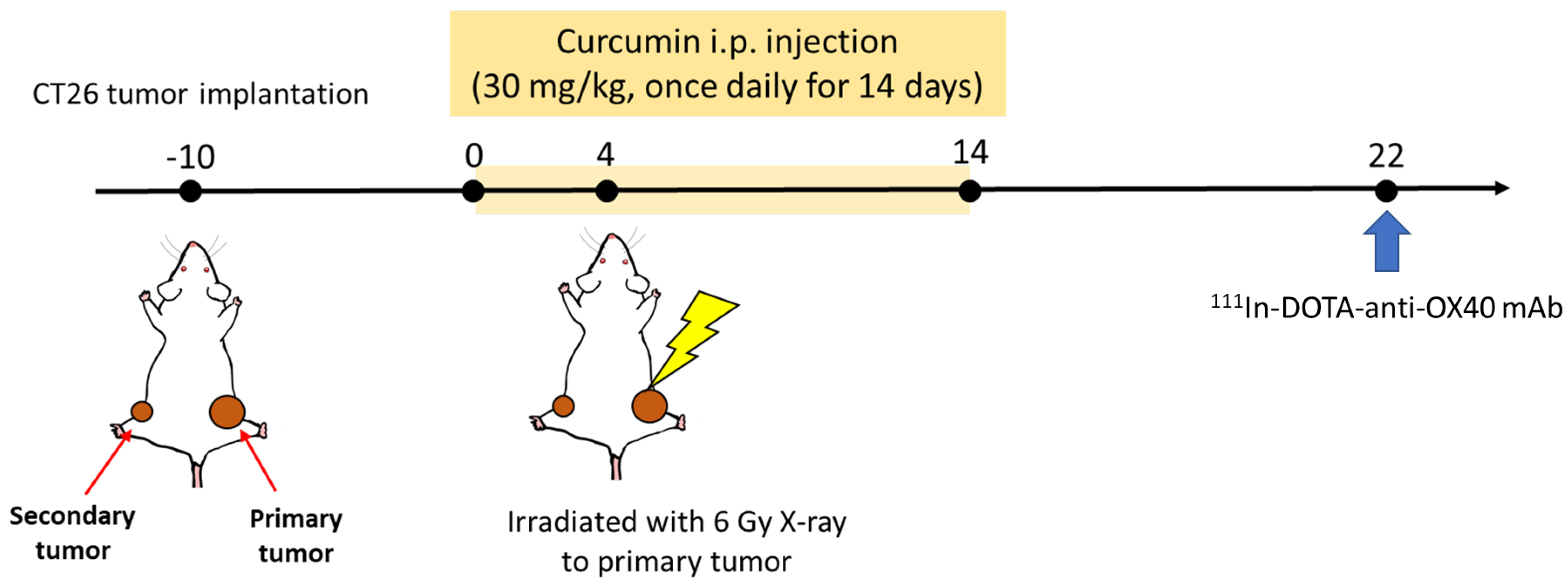 Pharmaceutics 15 01519 g001 Pharmaceutics 15 01519 g001