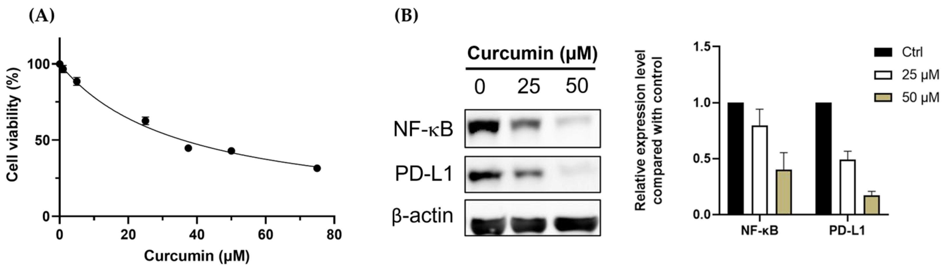 Pharmaceutics 15 01519 g002 Pharmaceutics 15 01519 g002