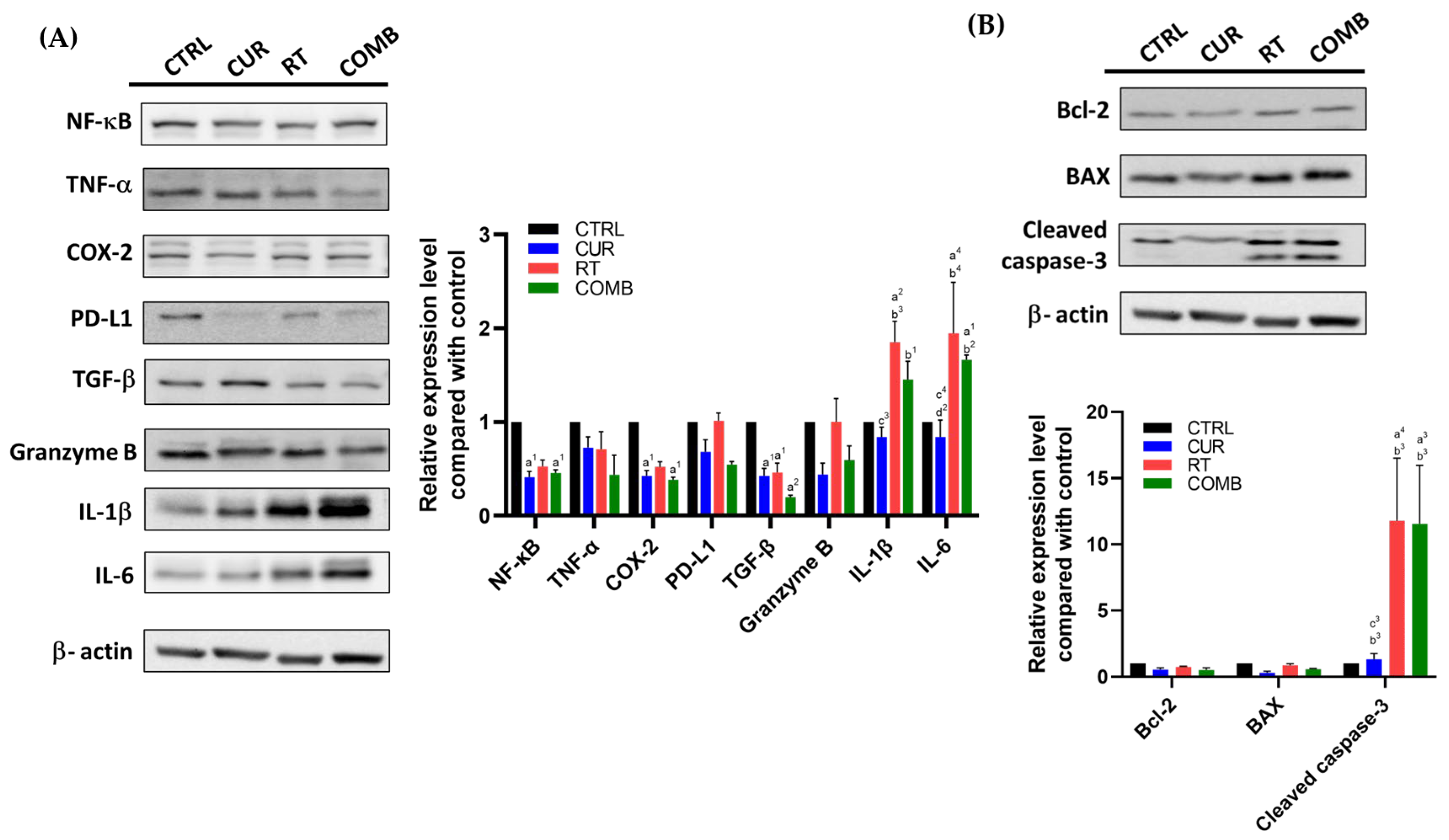 Pharmaceutics 15 01519 g006 Pharmaceutics 15 01519 g006